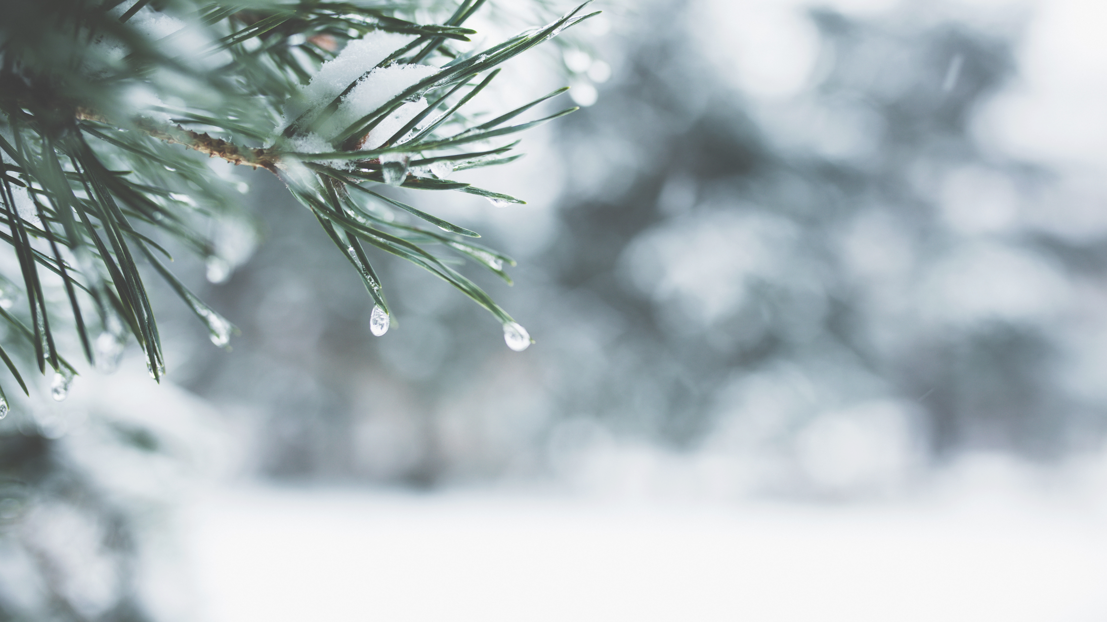 Winter Reset: Boost Energy &amp; Support Your Thyroid