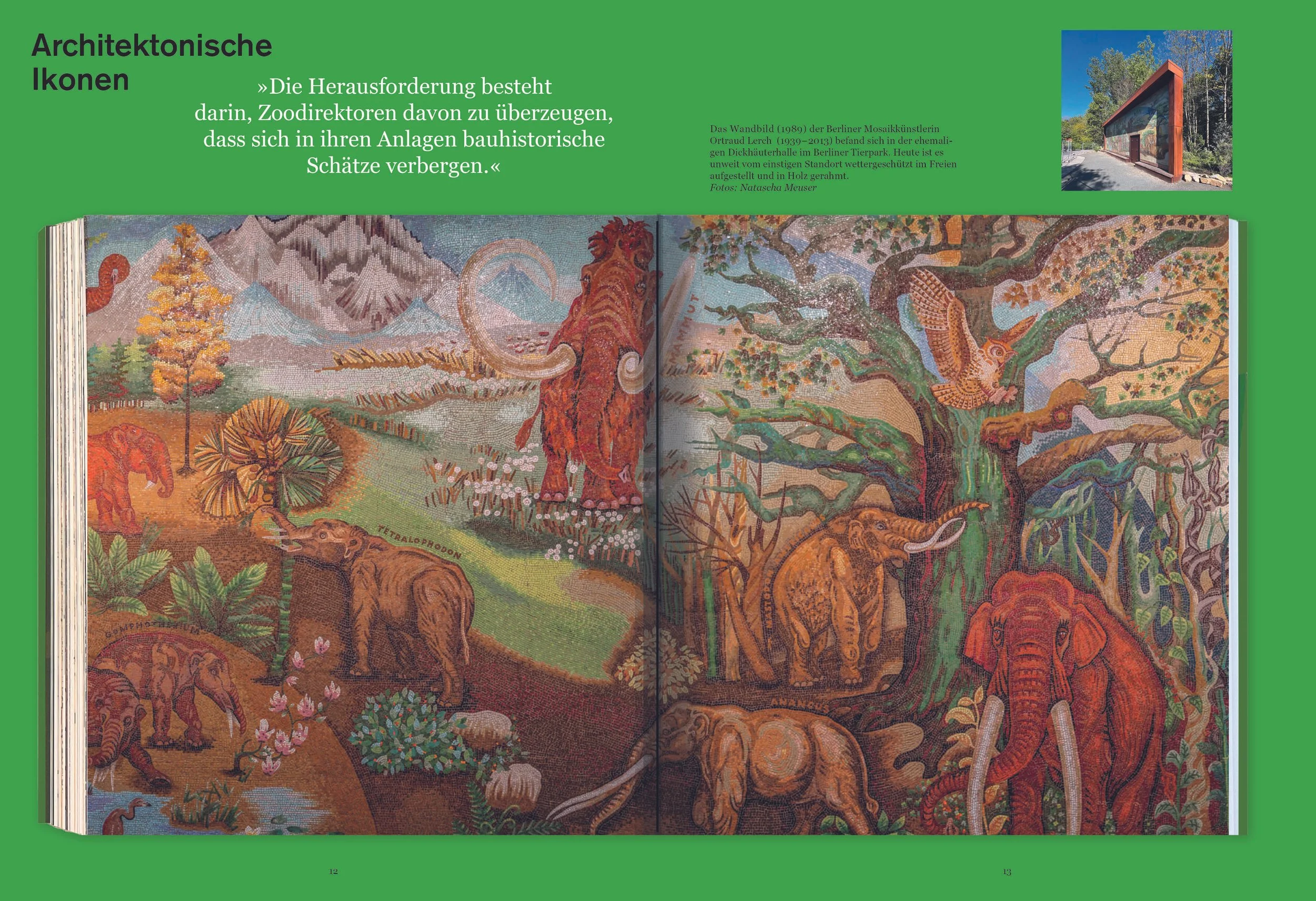 ZOO_Mag_6.jpg