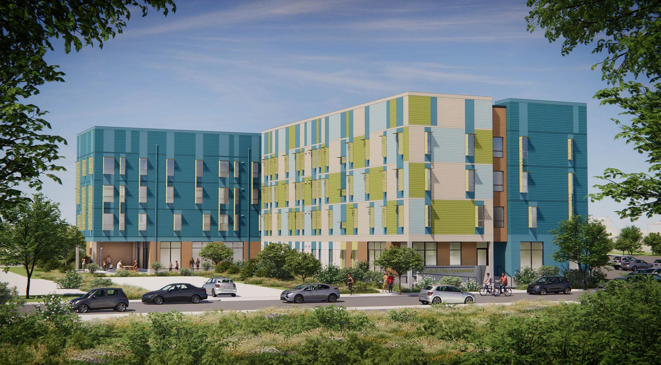 FEATURE IMAGE-AshPine.jpg