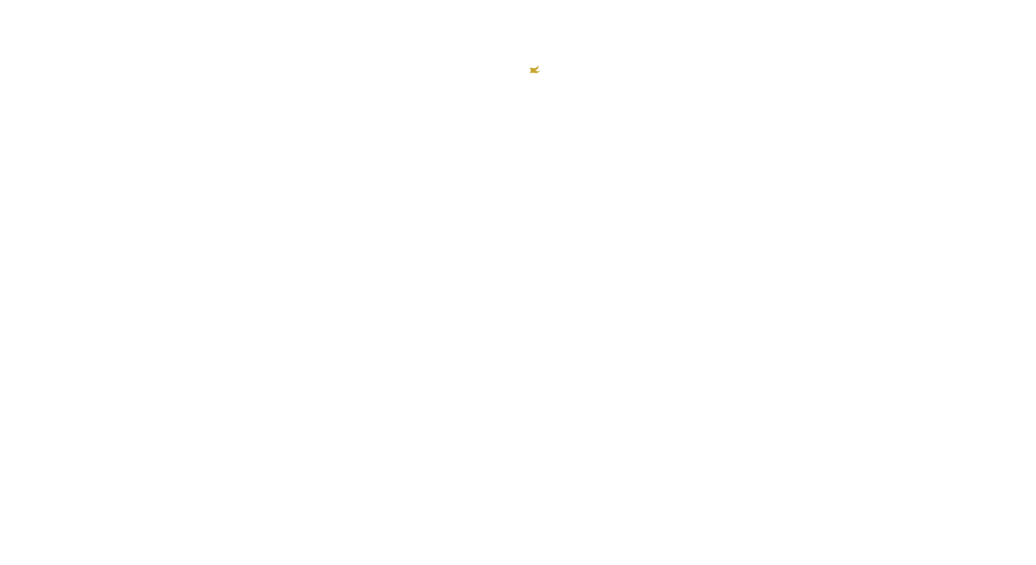 Castles Interiors