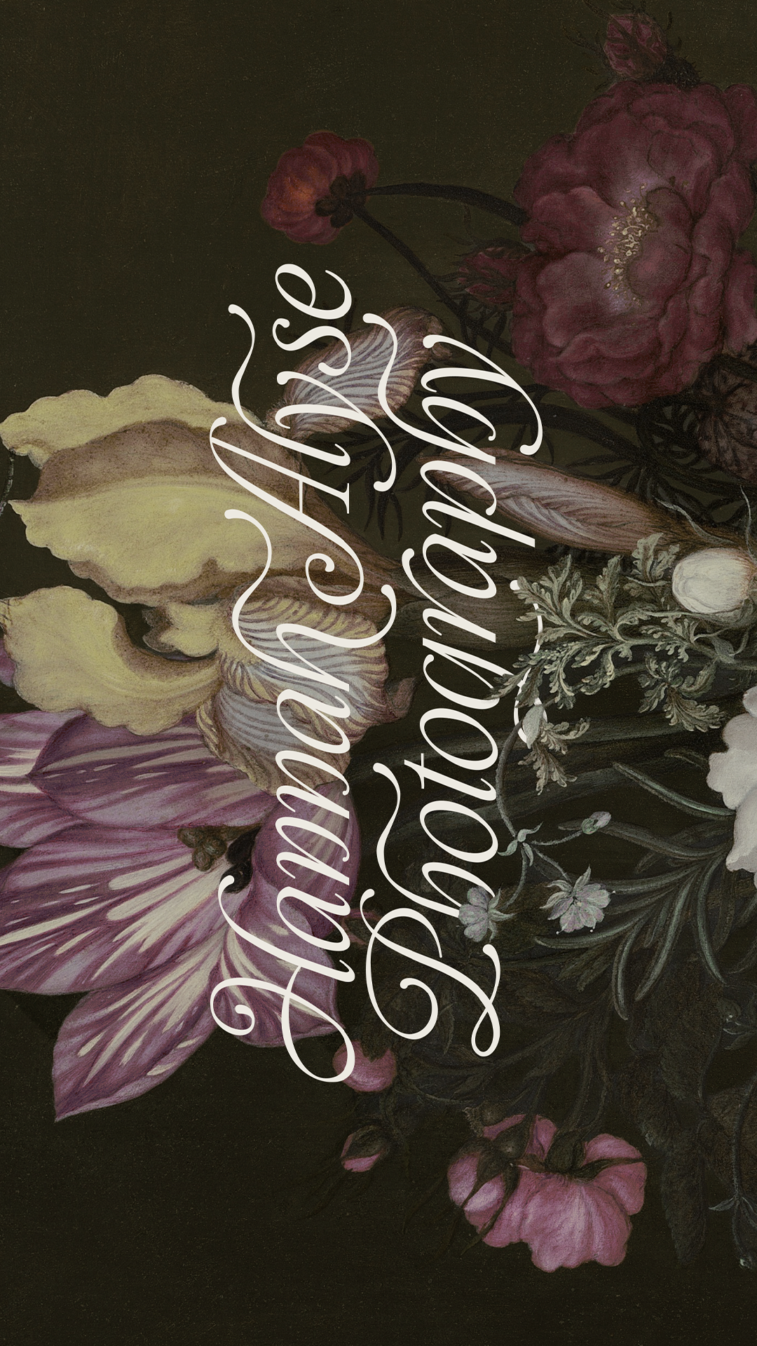 Hannah Alyse Photography whimsical script logo on vintage floral background