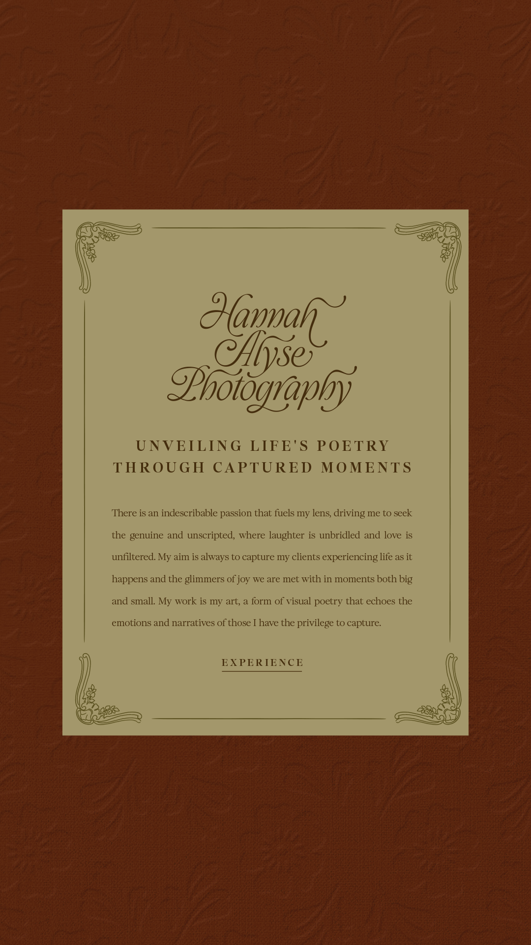 Vintage brand plaque with Hannah Alyse Photography logo and tagline