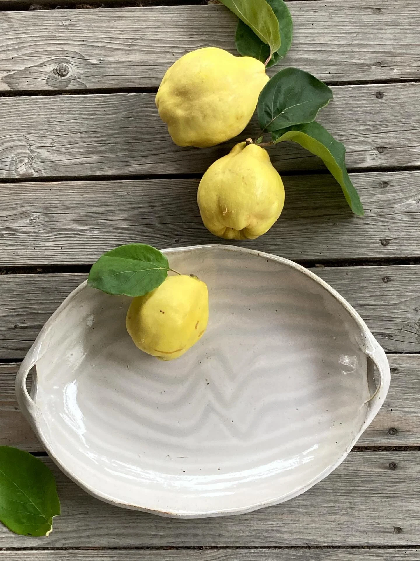 Goldgelbe Quitten in ovaler Schale
#quittengelb #quittenzeit #quittenernte #ovaleschale #quittenundkeramik #steinzeugt&ouml;pferei #steinzeuggeschirr #kunsthandwerk #slowdesign #handmade #studiopottery #liebeansch&ouml;nendingen #kunsthandwerkinniede