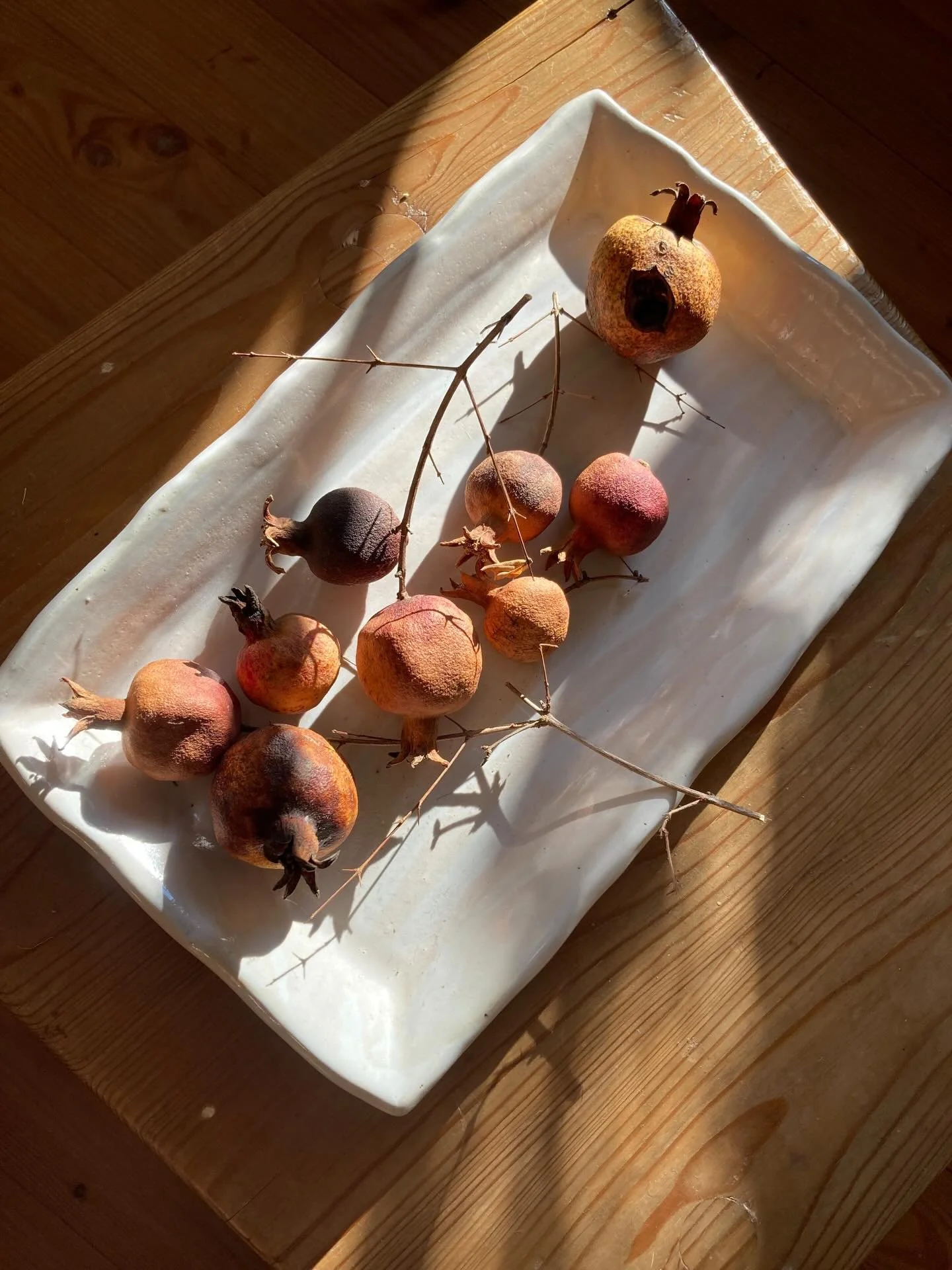 auch getrocknet wundersch&ouml;n sind die Fr&uuml;chte von unserem Granatapfelb&auml;umchen 
#granat&auml;pfel #pomagranate #steinzeugkeramik #studiopottery #keramikpatlan
