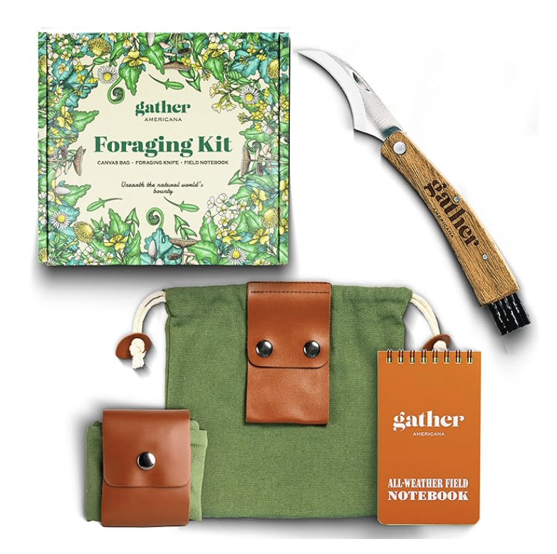 Screen Shot 2023-10-30 at 8.26.48 PM.png