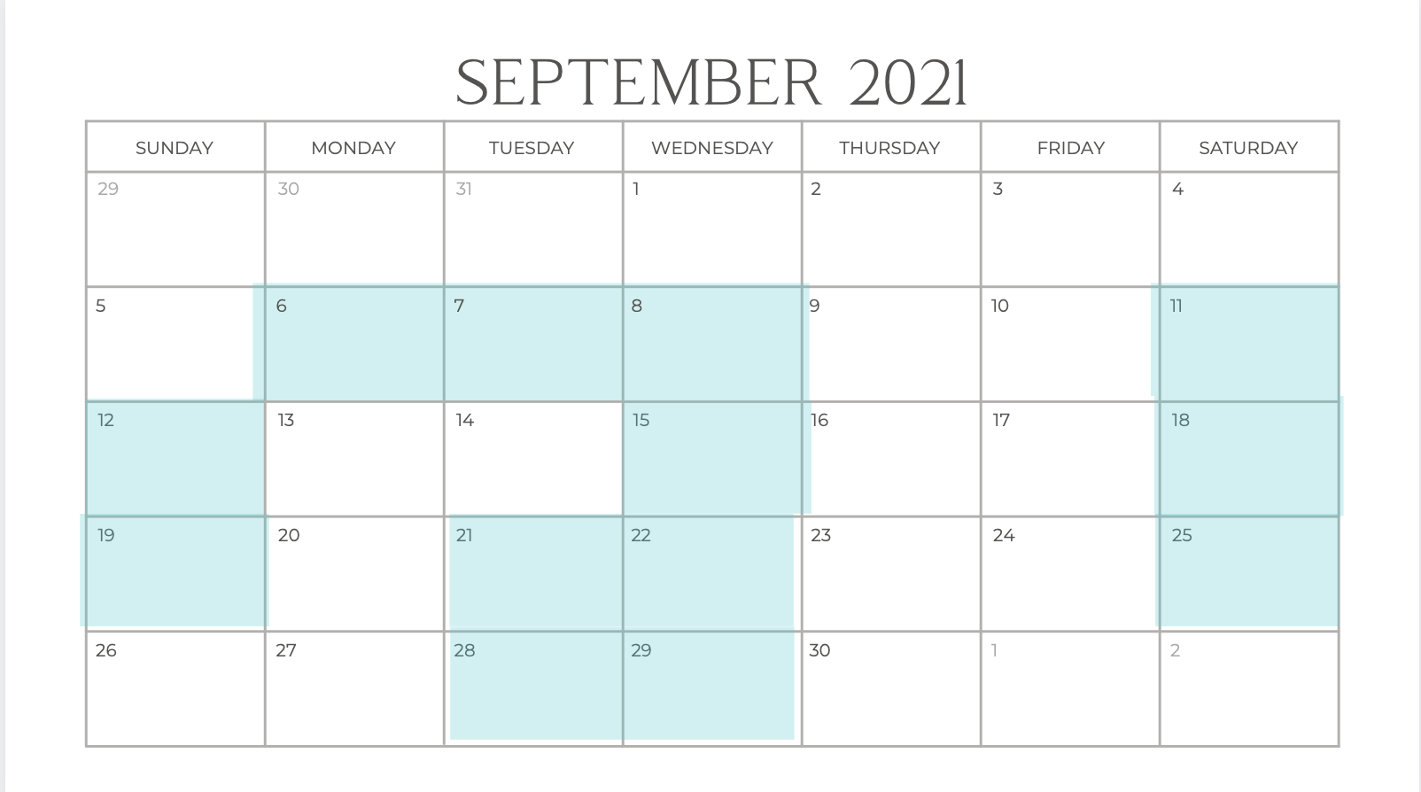 Screen Shot 2021-08-21 at 2.46.41 AM.png