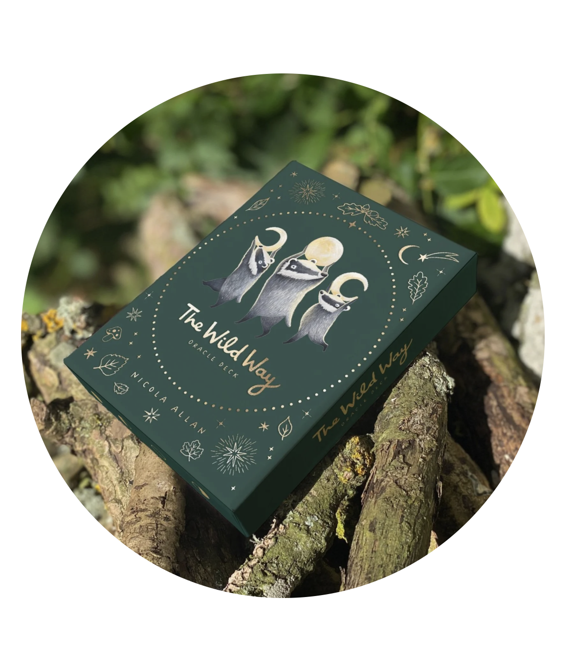 Screenshot 2025-11-12 at 3.44.42 PM.png