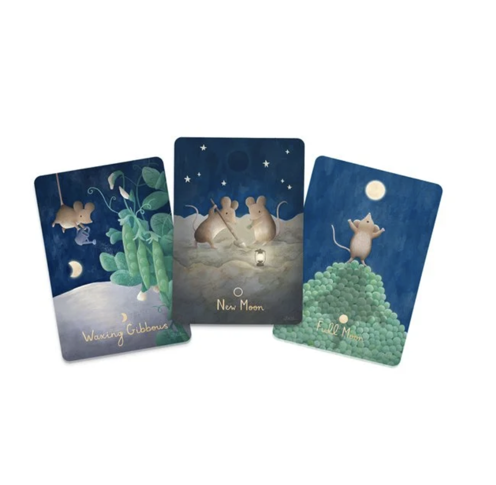 Screenshot 2025-11-12 at 3.47.13 PM.png