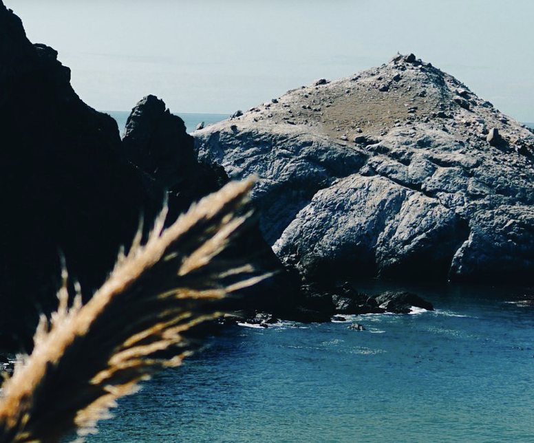 Screen Shot 2022-09-12 at 10.06.45 PM.png