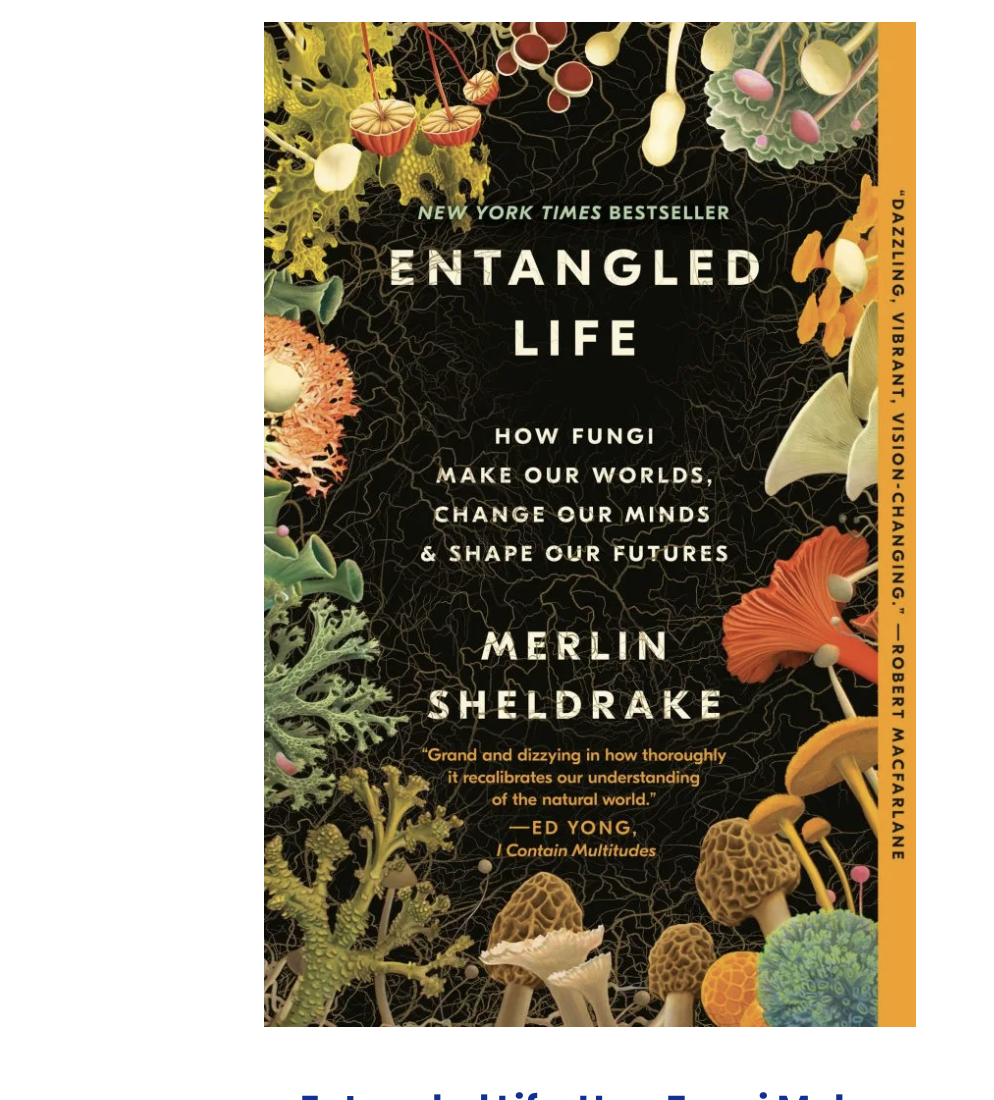 Screen Shot 2023-10-30 at 8.12.32 PM.png