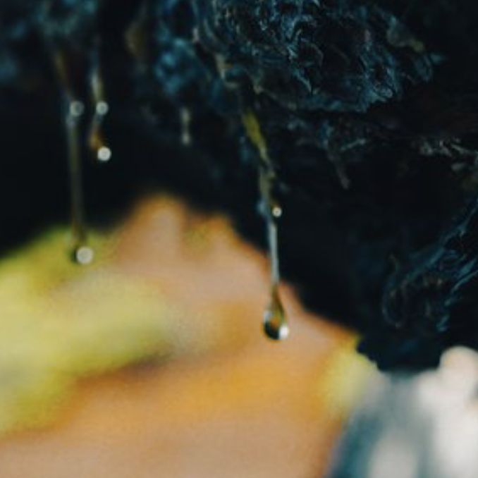 Screen Shot 2022-09-12 at 10.00.26 PM.png