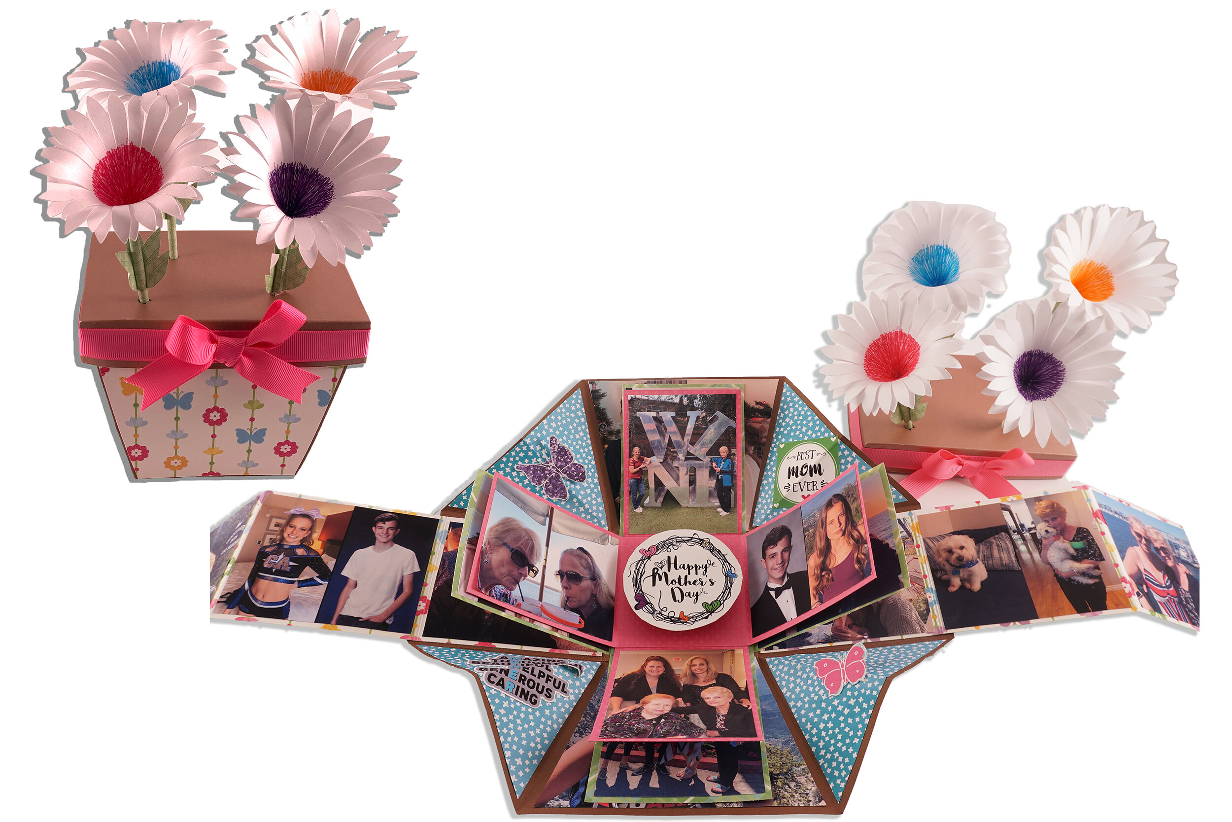 Flower Pot Explosion Box (Digital)