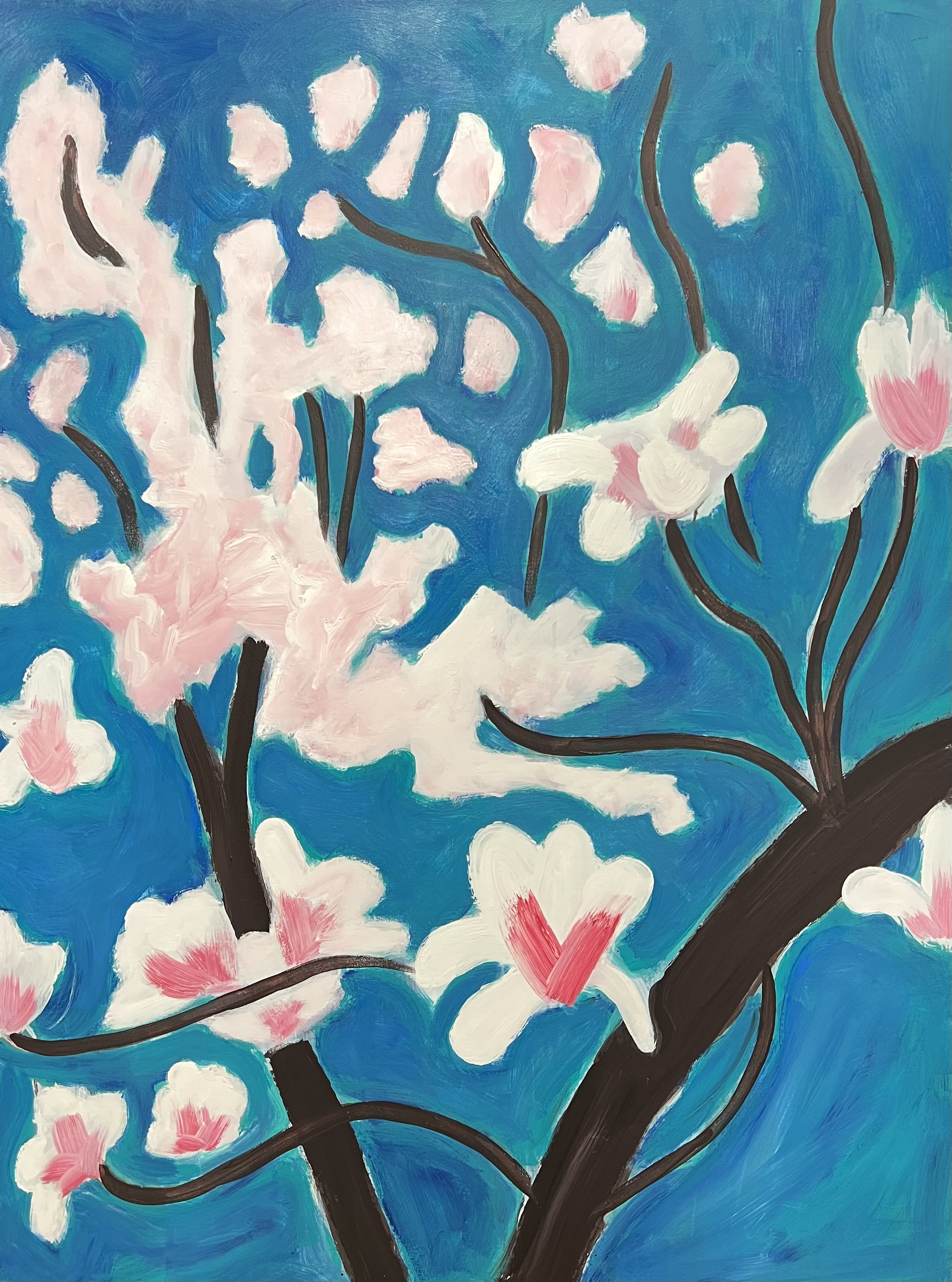 Magnolia Blooms