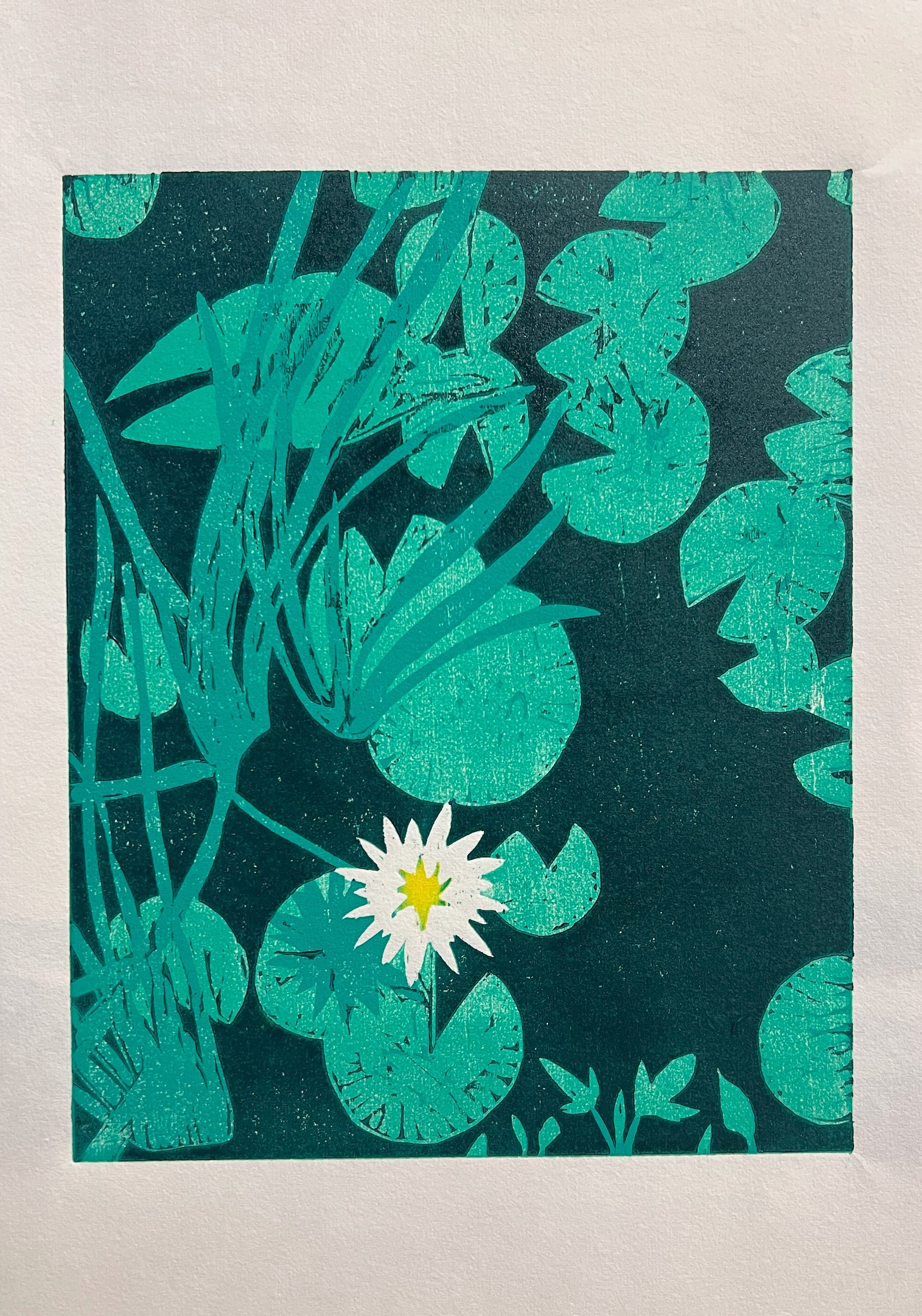 Water Lily