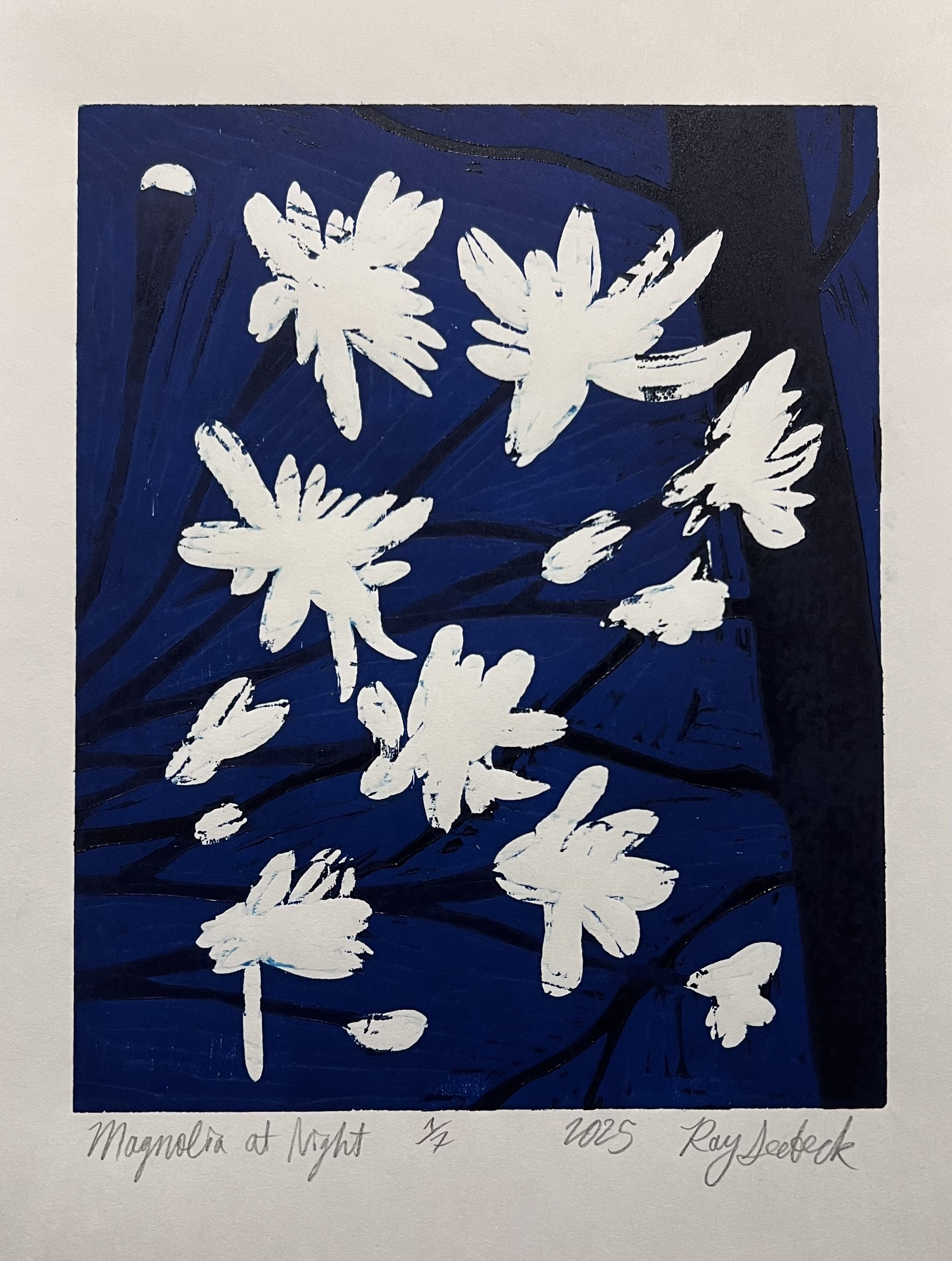Magnolia at Night