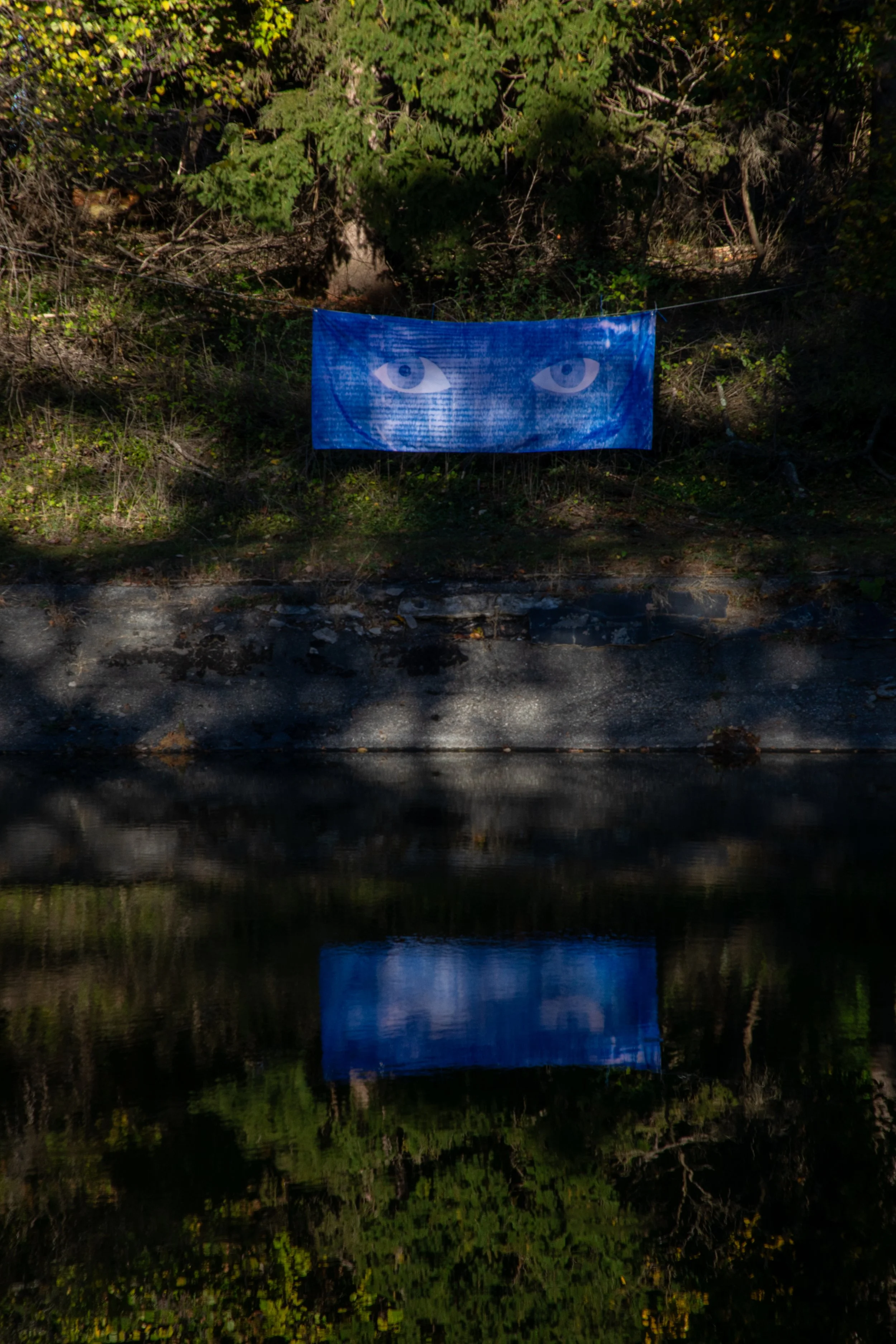 RAY_SEEBECK-CRITIQUE_1(2025)ReflectionVertical.jpg