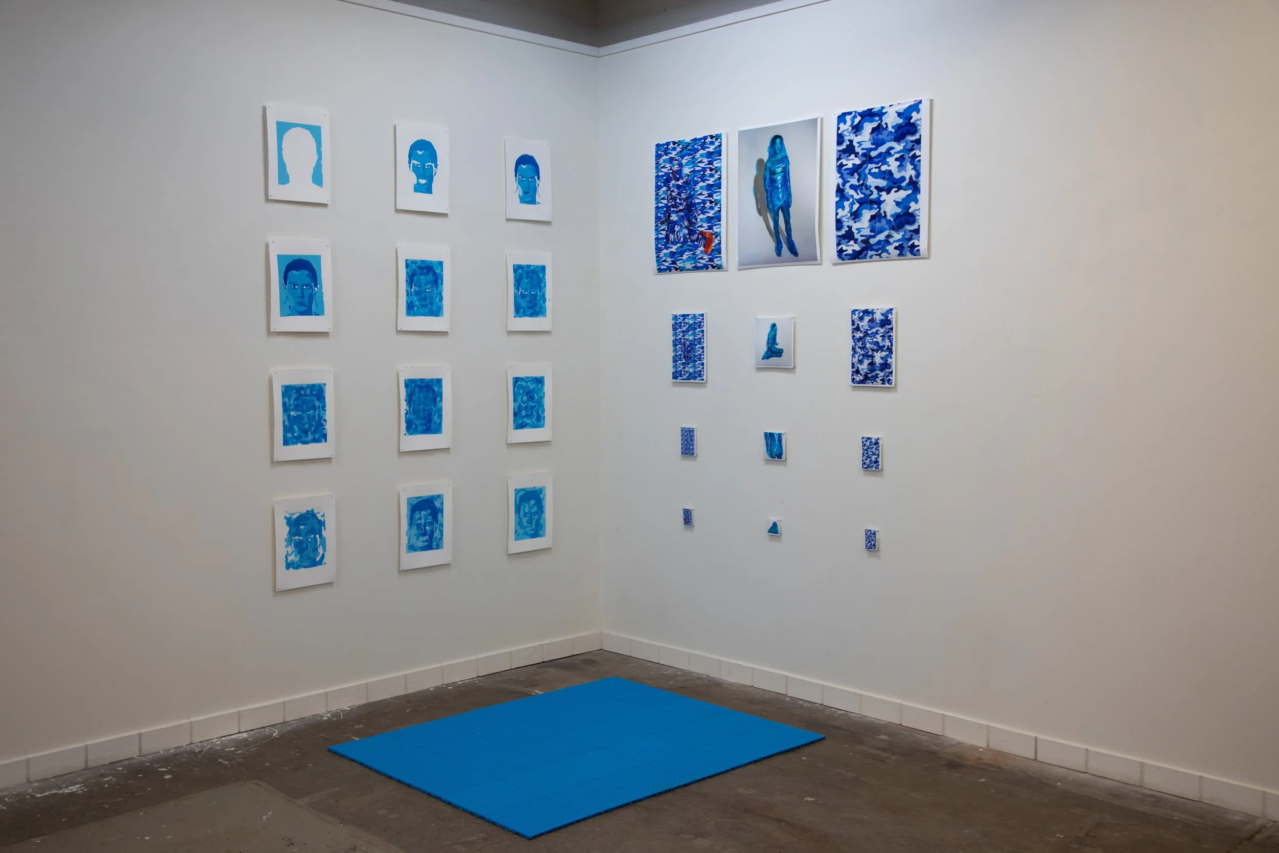 Camouflage Directive (Installation)