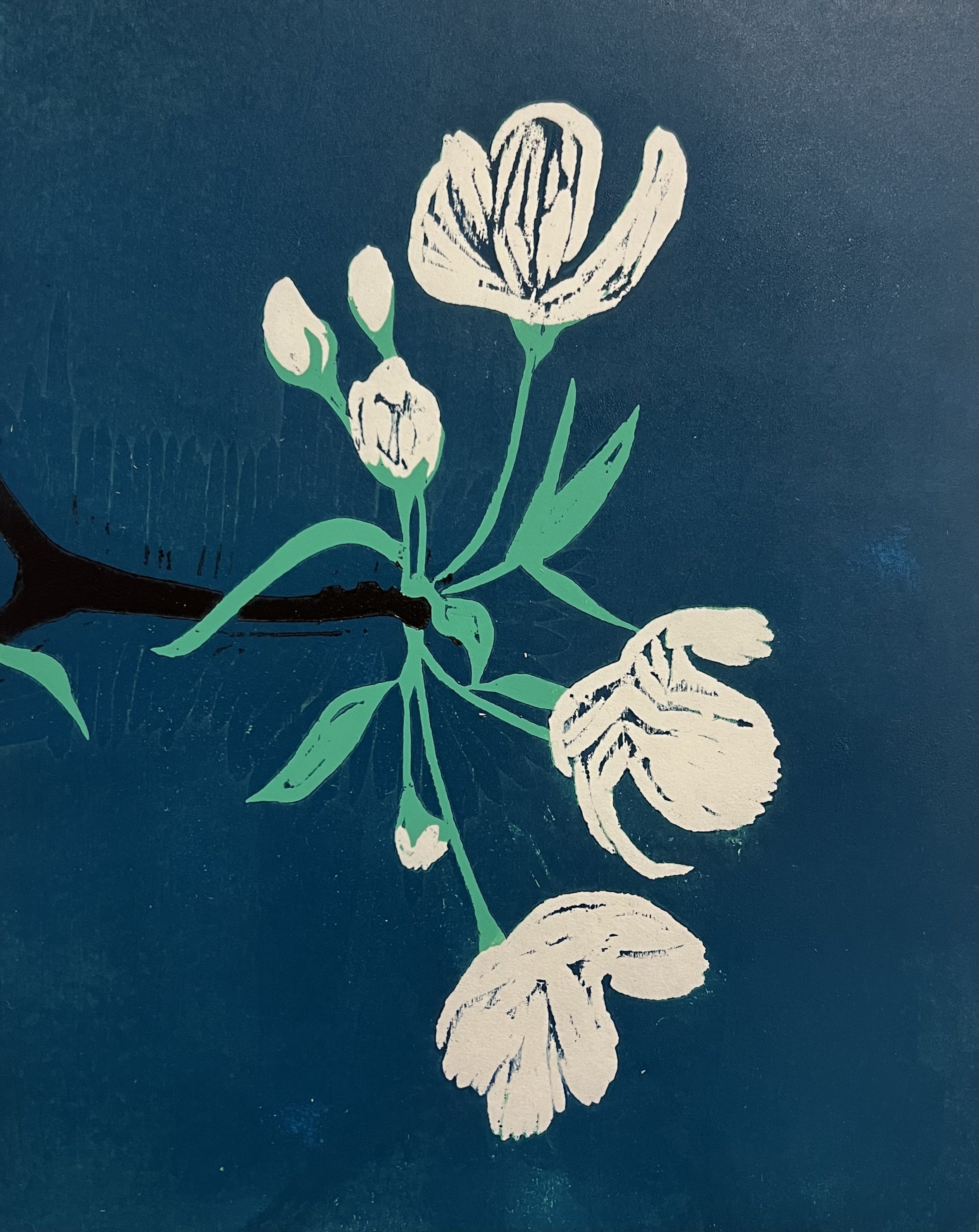 Blossoms