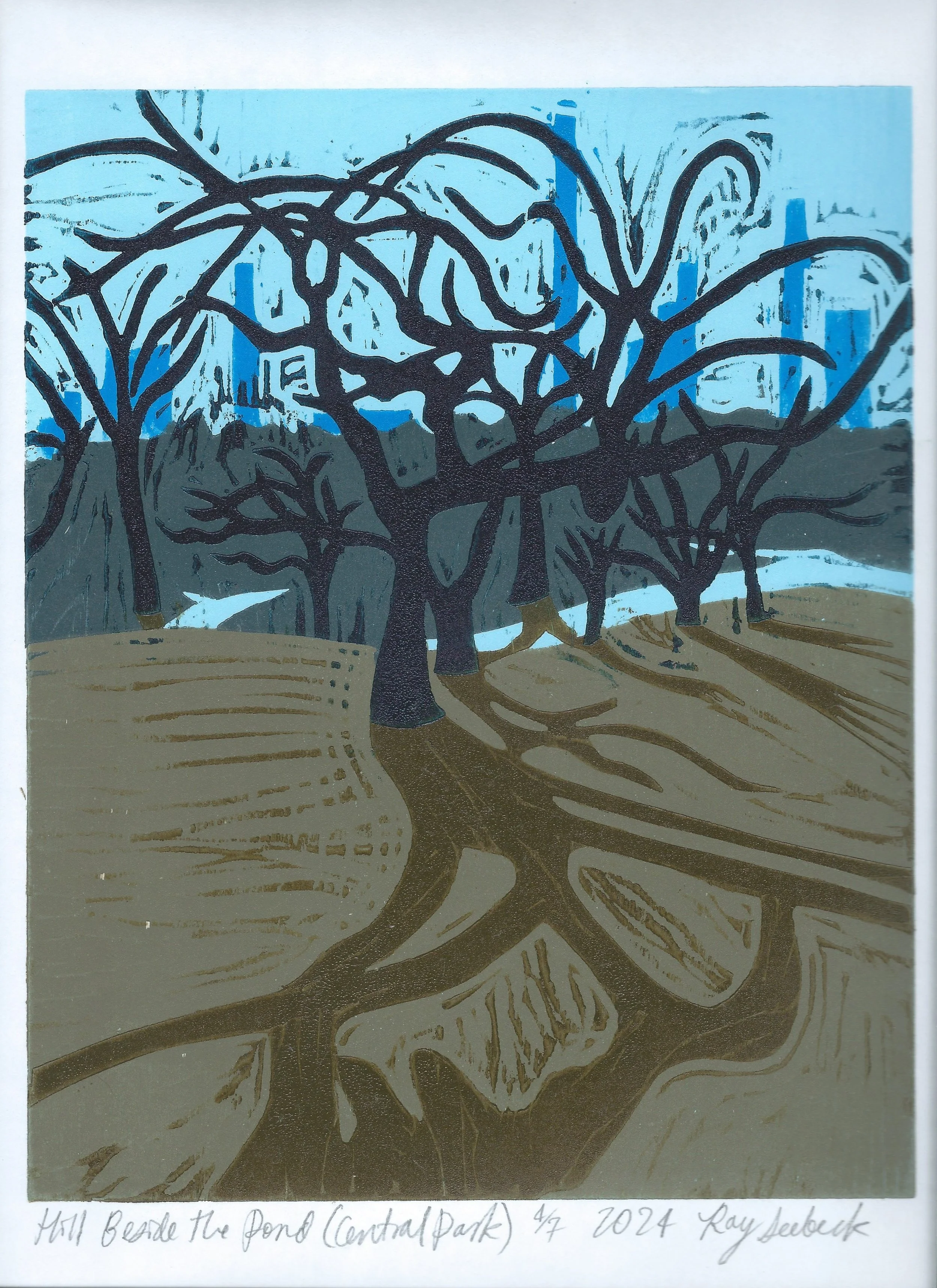 Hill Beside The Pond, Central Park