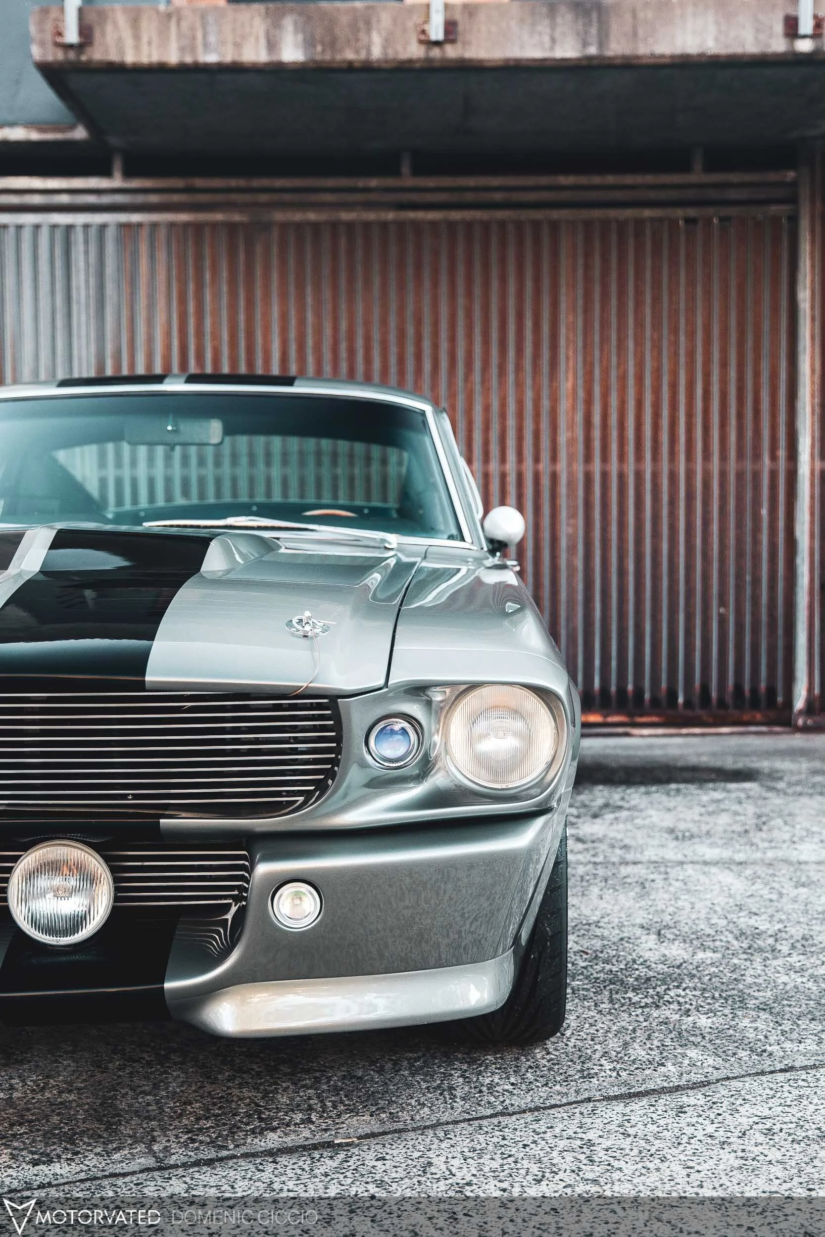 eleanor-2020-dciccio-mtrvtd71.jpg