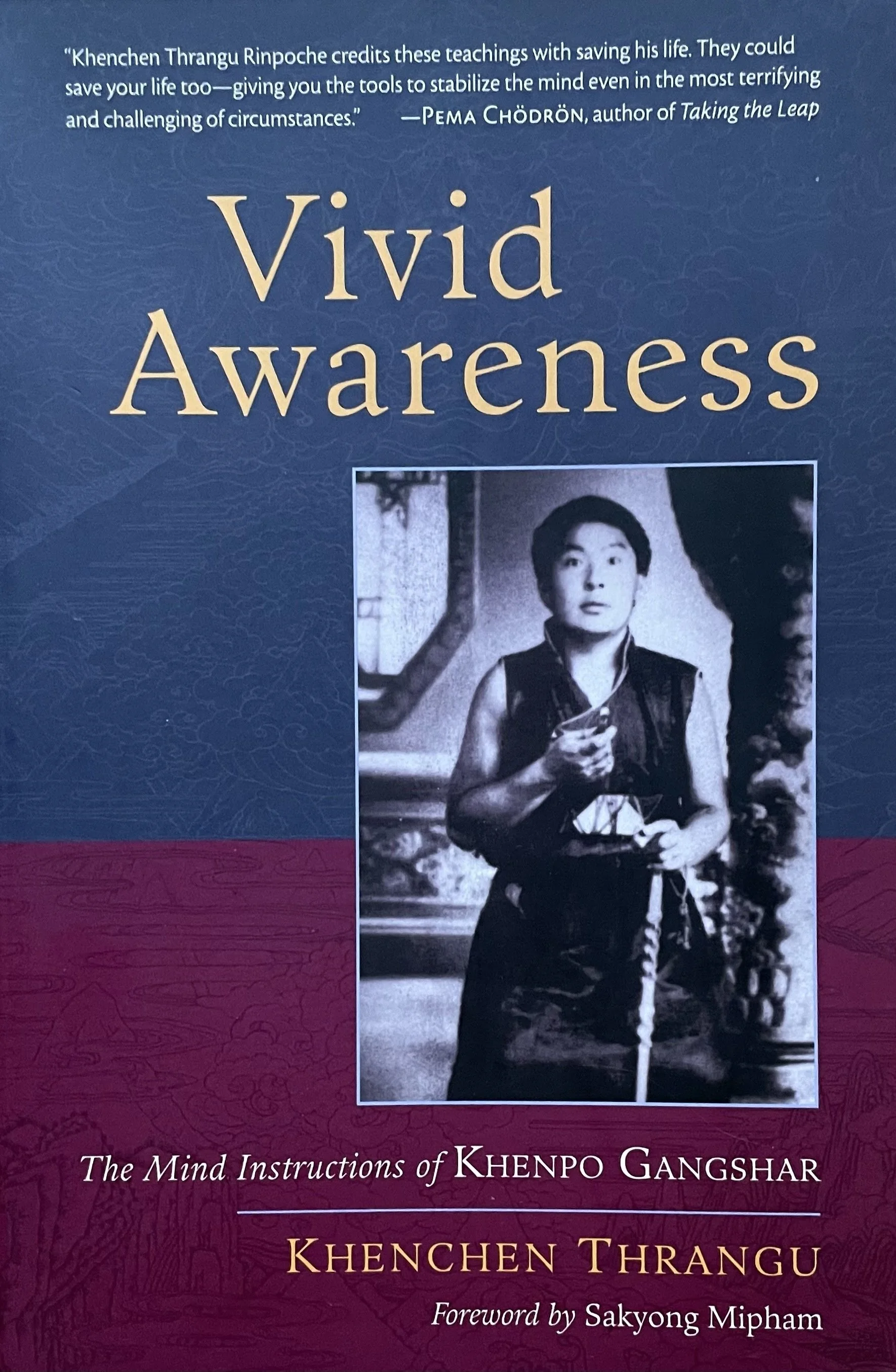 Book Study: Vivid Awareness by Khenchen Trangu Rinpoche