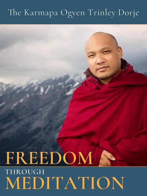 Book Study: Freedom Through Meditation by the&nbsp;Seventeenth Karmapa Ogyen Trinley Dorje