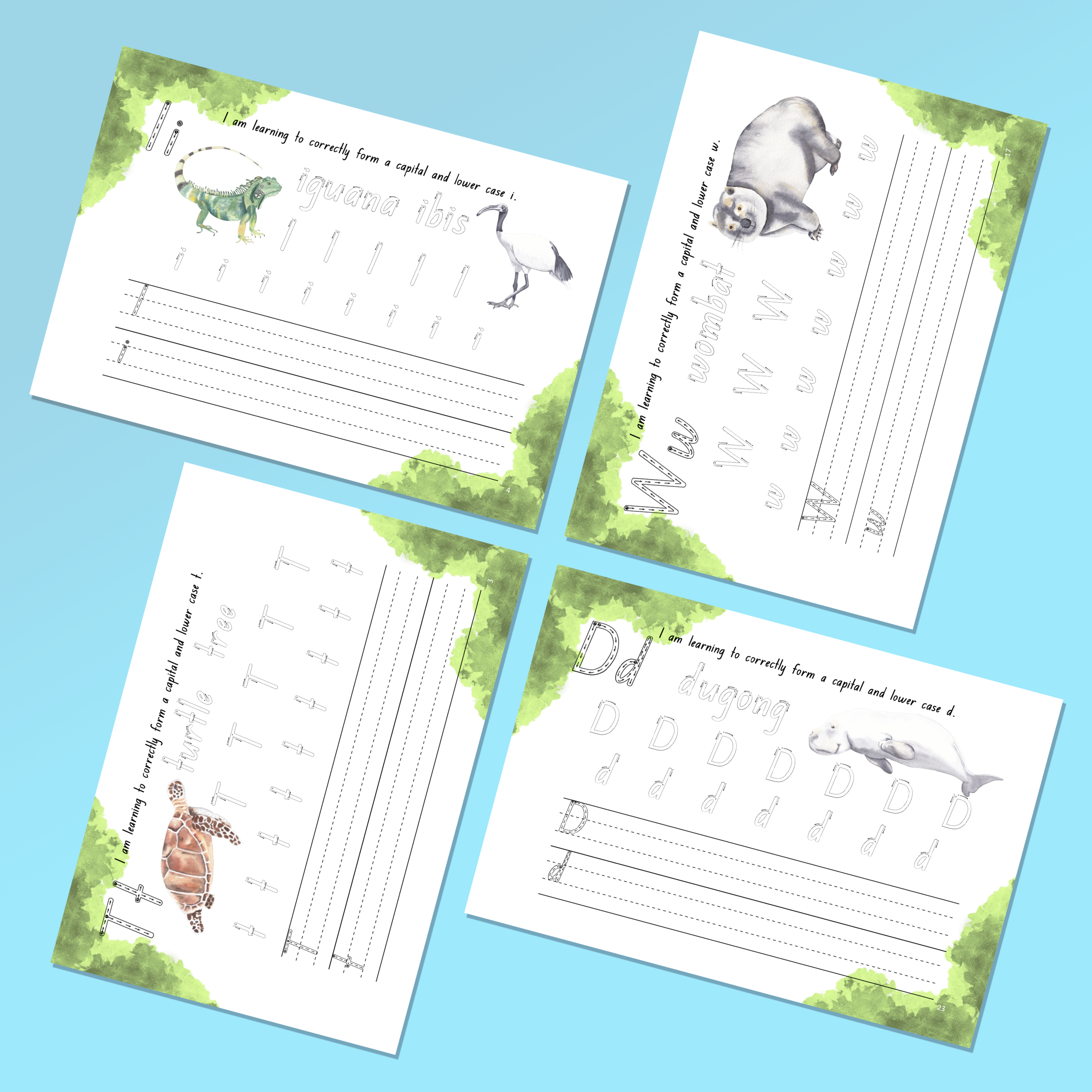 Handwriting layout.png