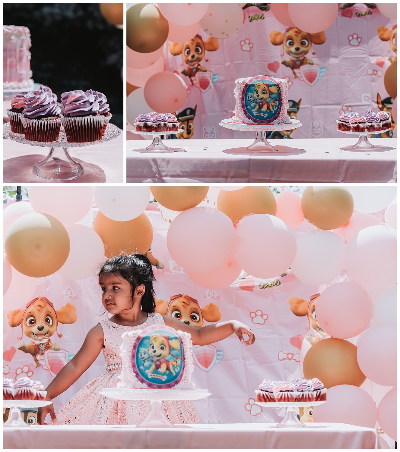 Toronto and Durham Event Photography | Anaya's 4th Birthday_0001.jpg