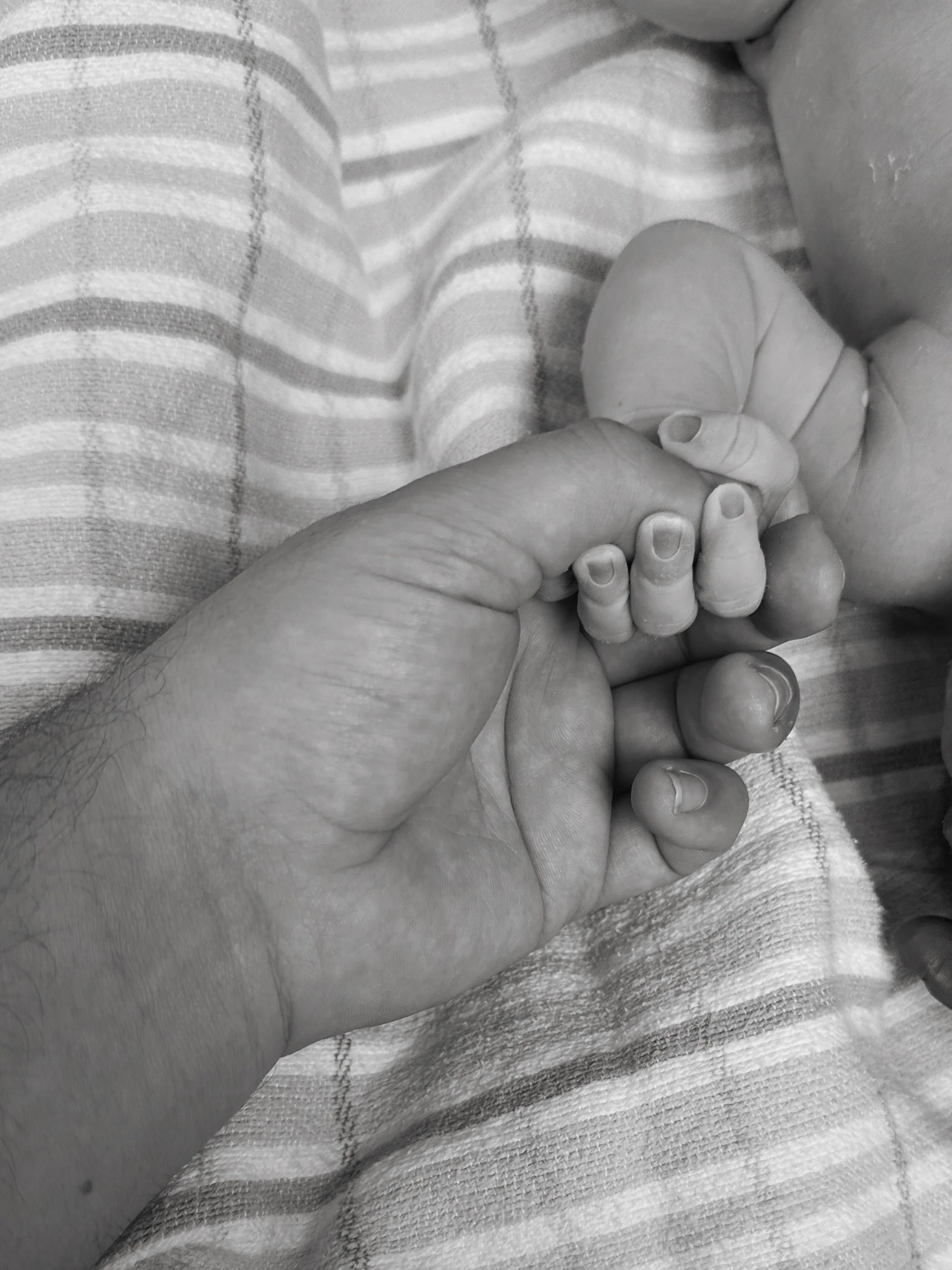 The Gentle Power of Appreciation: Quiet Ways to Honour Your Partner Through The Season of Parenthood
