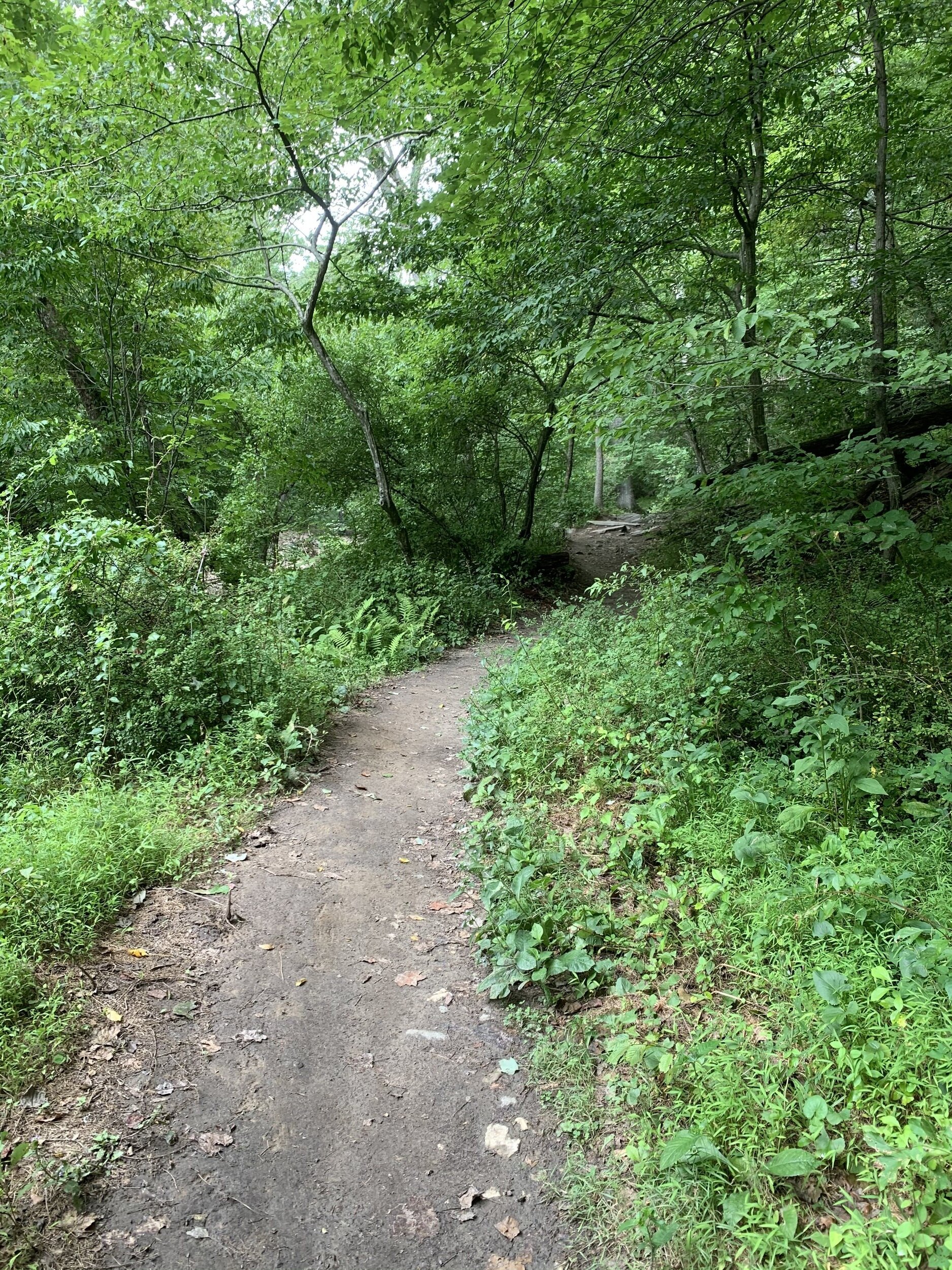 Liberty Dam Trail