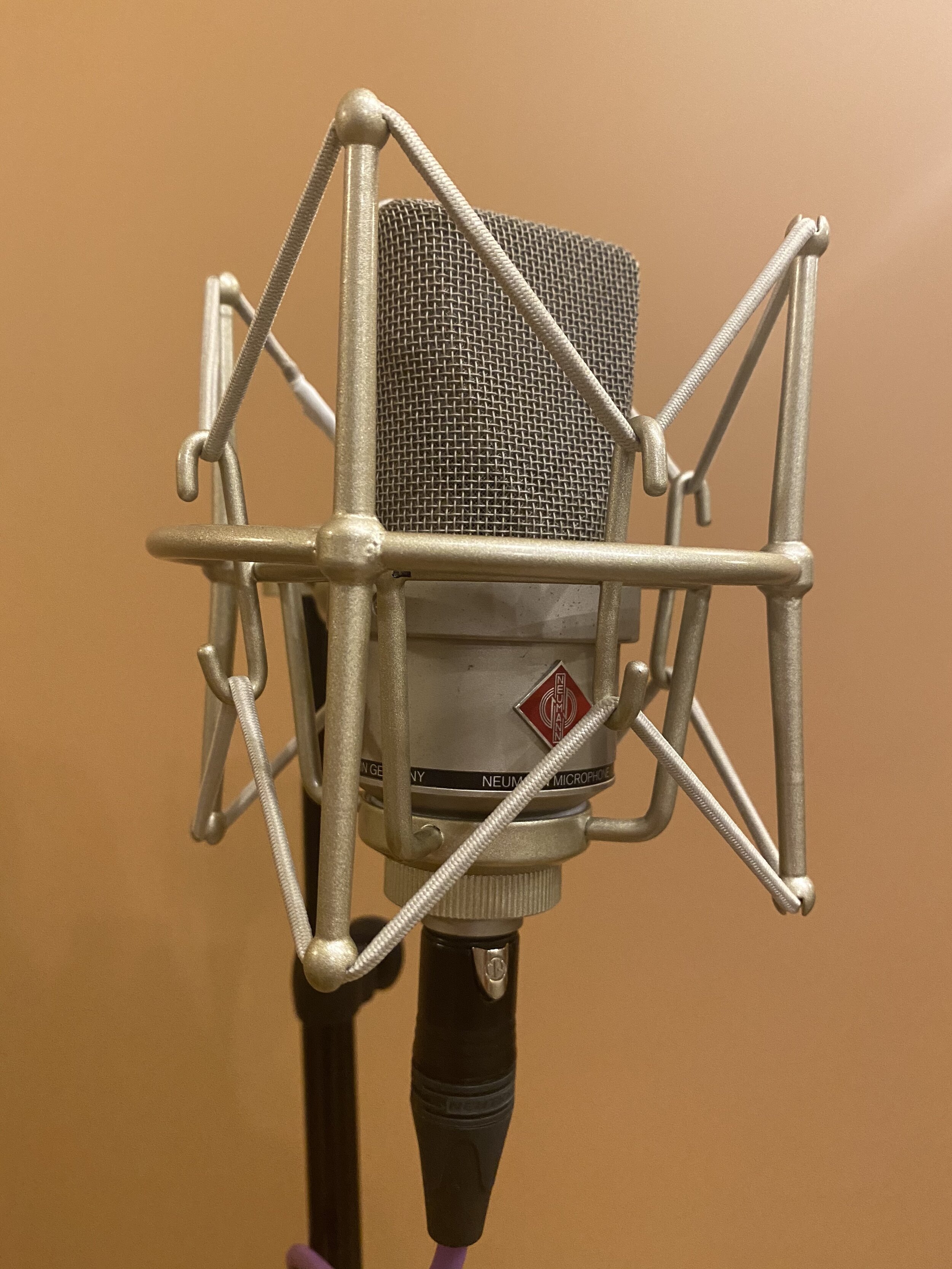 neumann-tlm103_IMG_1732.JPG