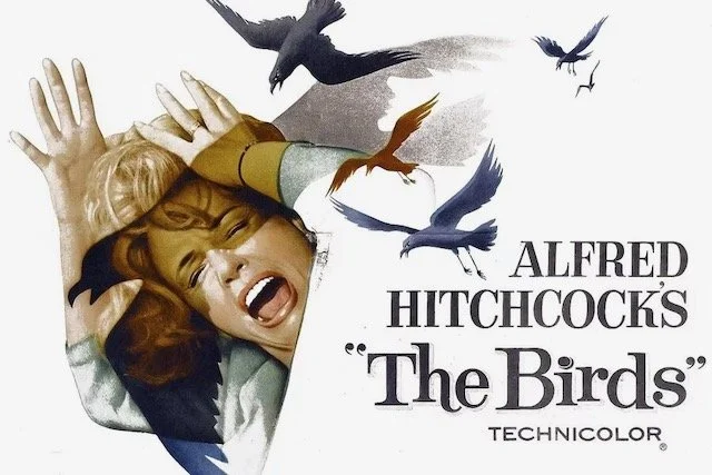 The Birds