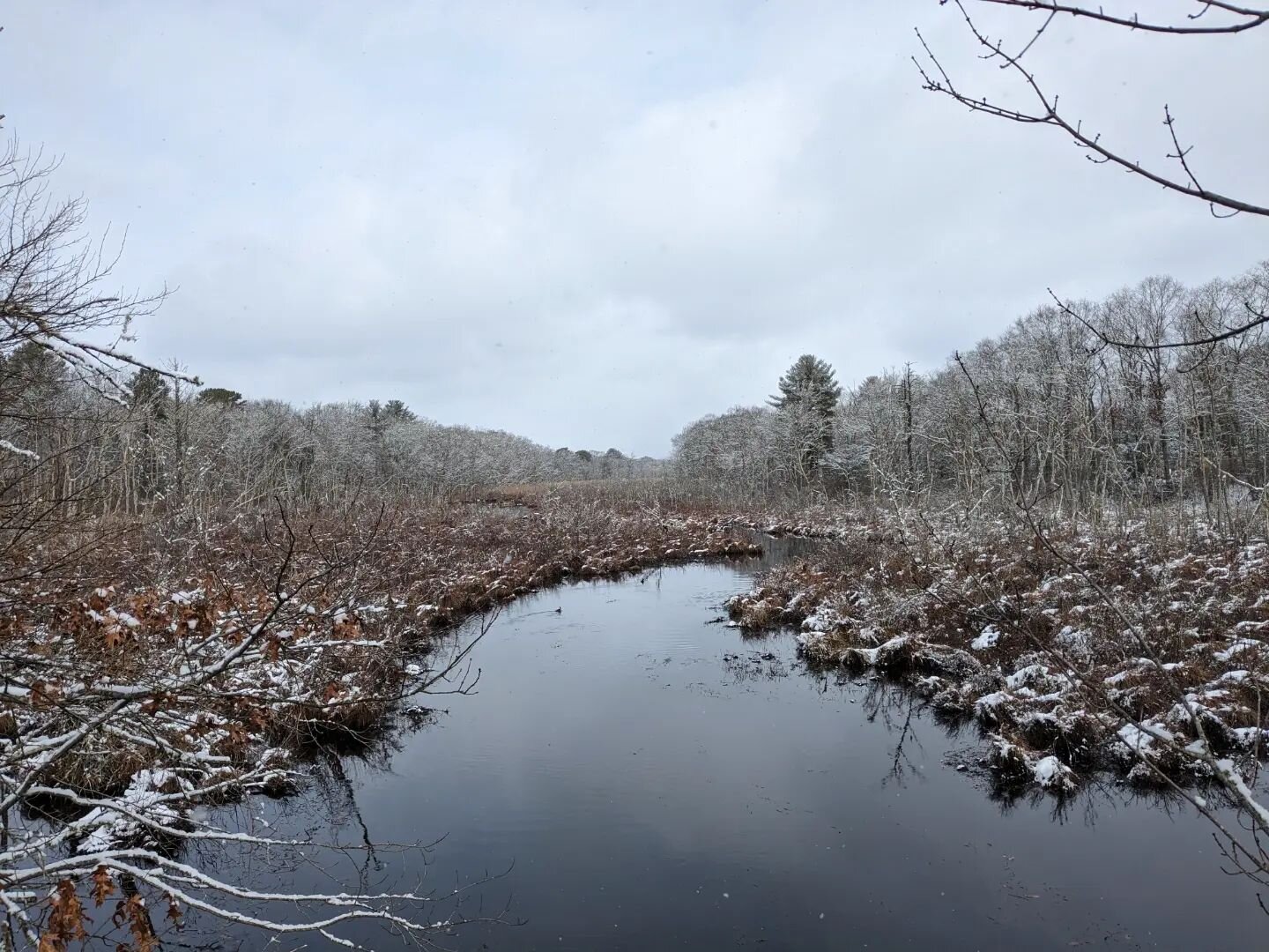 I am not a winter person. I grew up in the south where spring has practically sprung by now, so around this time every year I start to get very frosted over and crunchy and checking my watch to see if I can come out of hibernation yet. I do appreciat