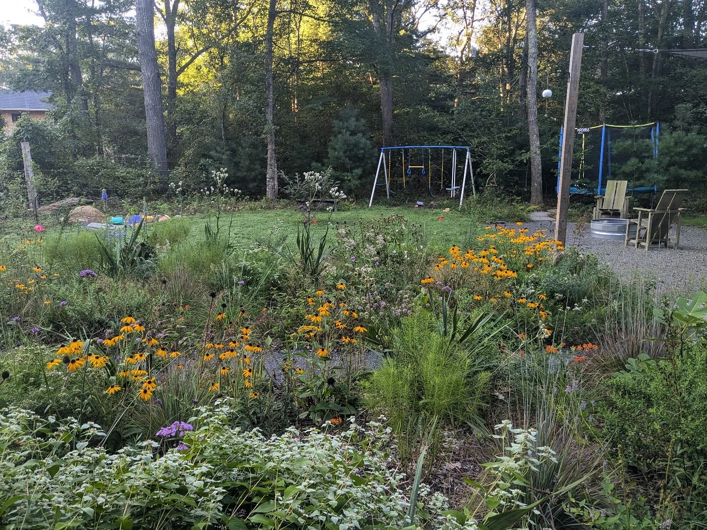Most of my time in the garden is spent looking at it through this window while I wash dishes.

I love this wildish type of gardening not just for the bugs and birds it brings back to my home but also because it asks so little of my time. It took A LO