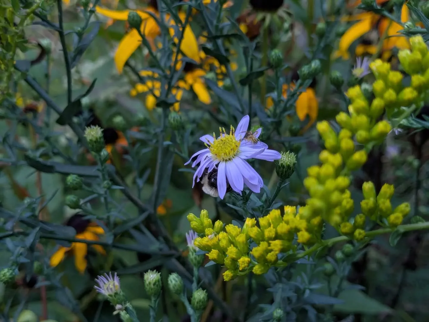 my style is beautiful mess