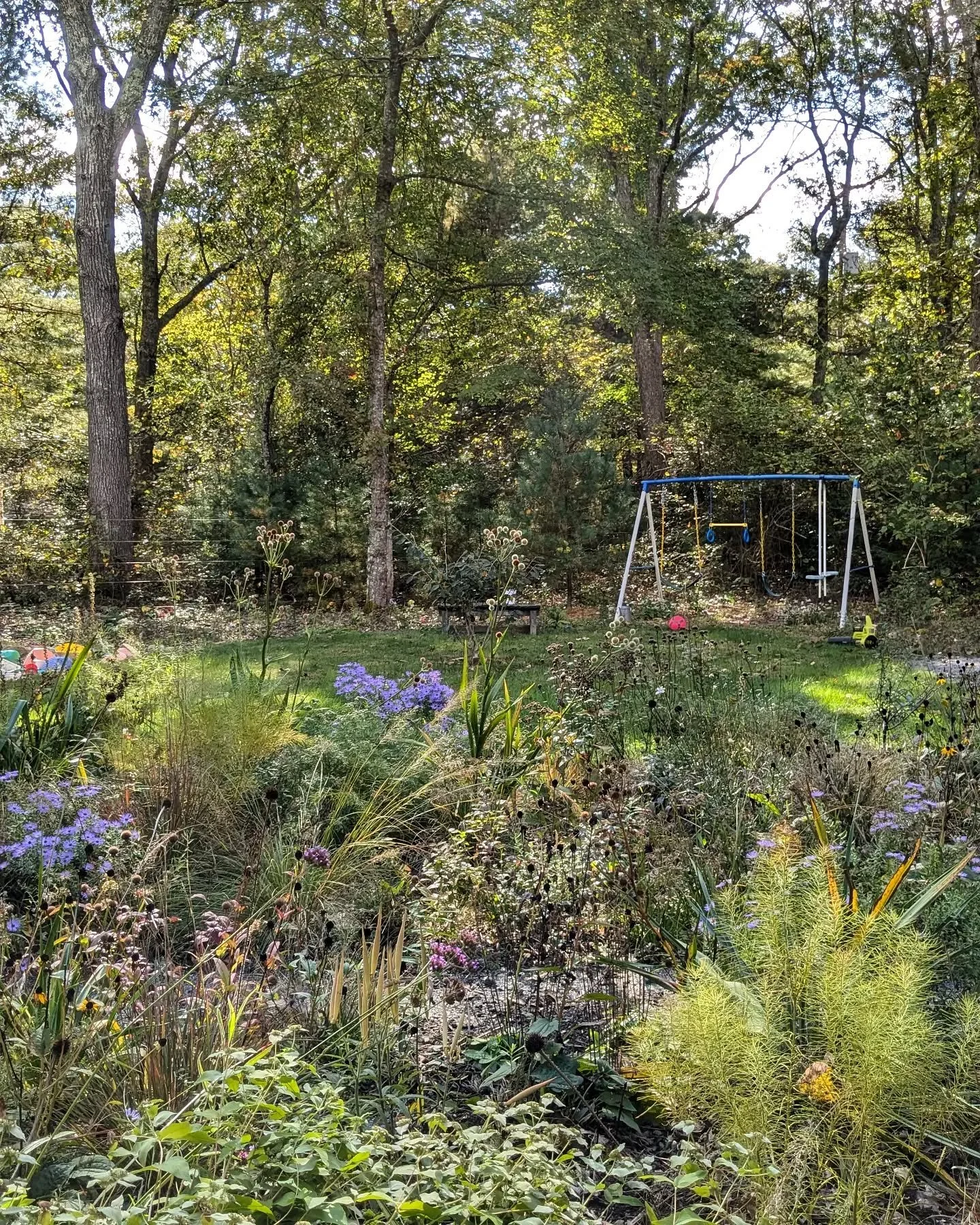 My style is called "playground naturalistic" and it's required that you include a swingset.