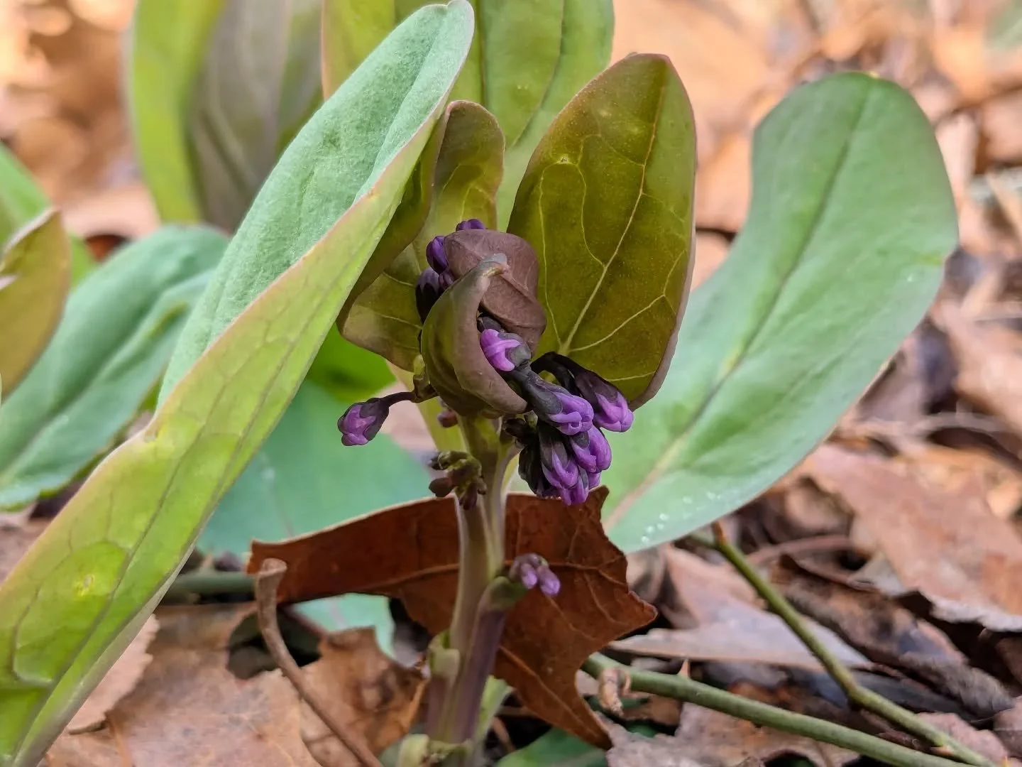 Here it comes ✨💙