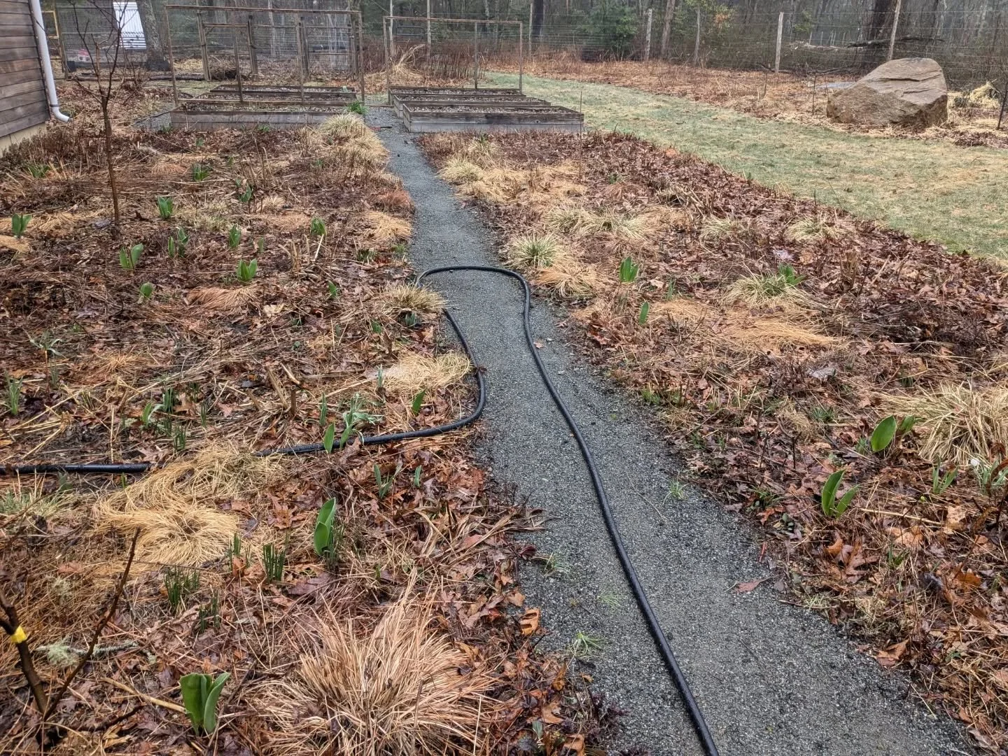 It might look messy but my mulch budget is $0, spring "cleanup" takes 15 minutes, and I spend maybe 1 hour weeding annually. Lmk if you want to join my Lazy Gardeners Garden Club, we'll get stickers made.