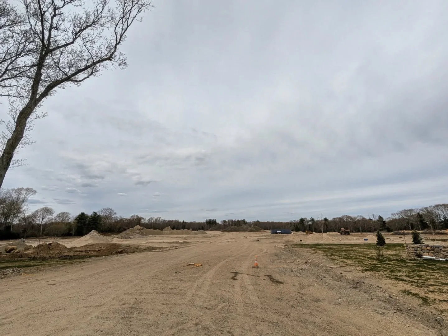 This is what I mean when I say we have short memories regarding land use history and invasive species. Five years ago this was a forest. It was sold for golf course and suburb development and all existing vegetation was ripped out. All organic matter