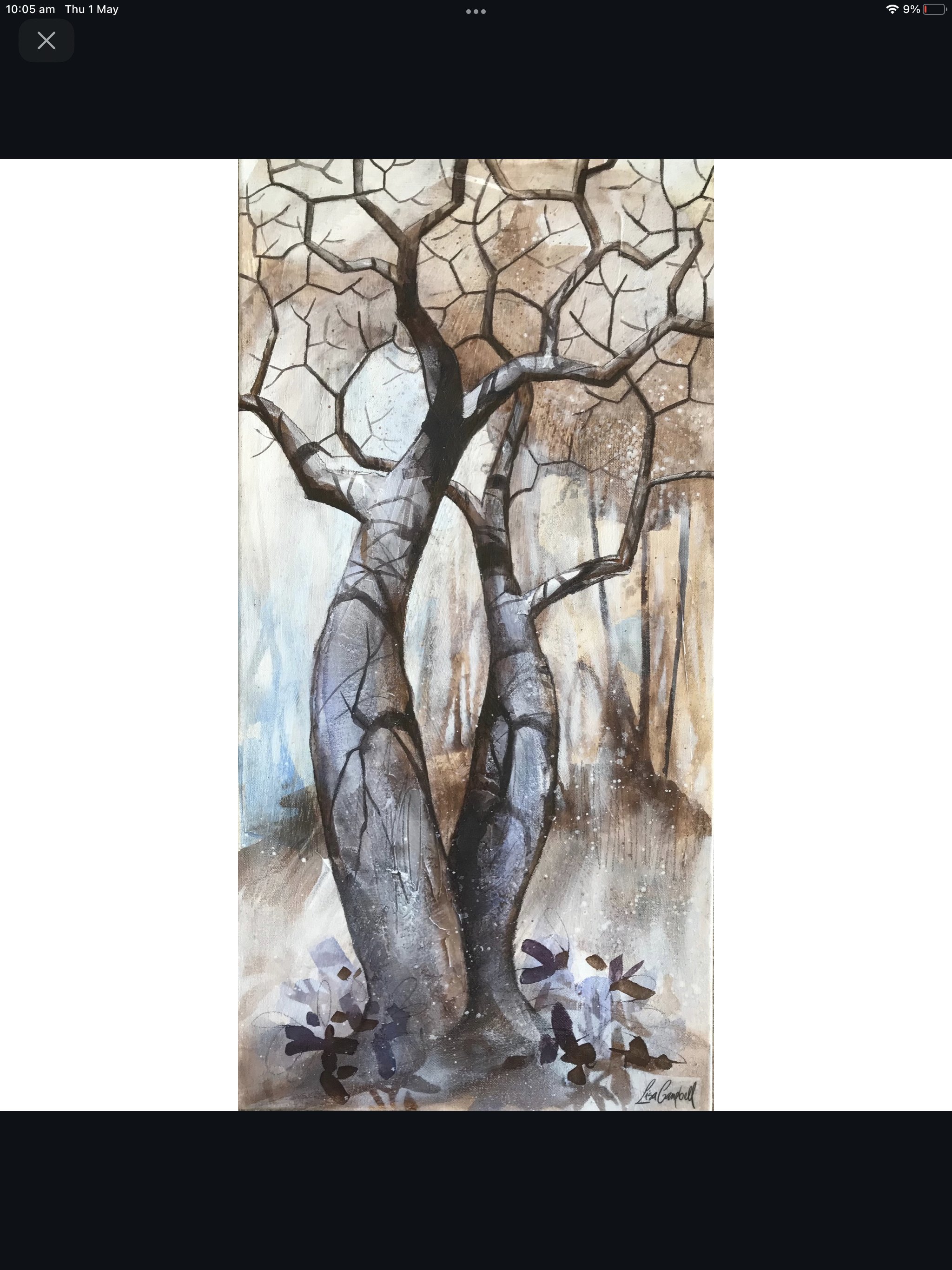 Original Boab Artwork