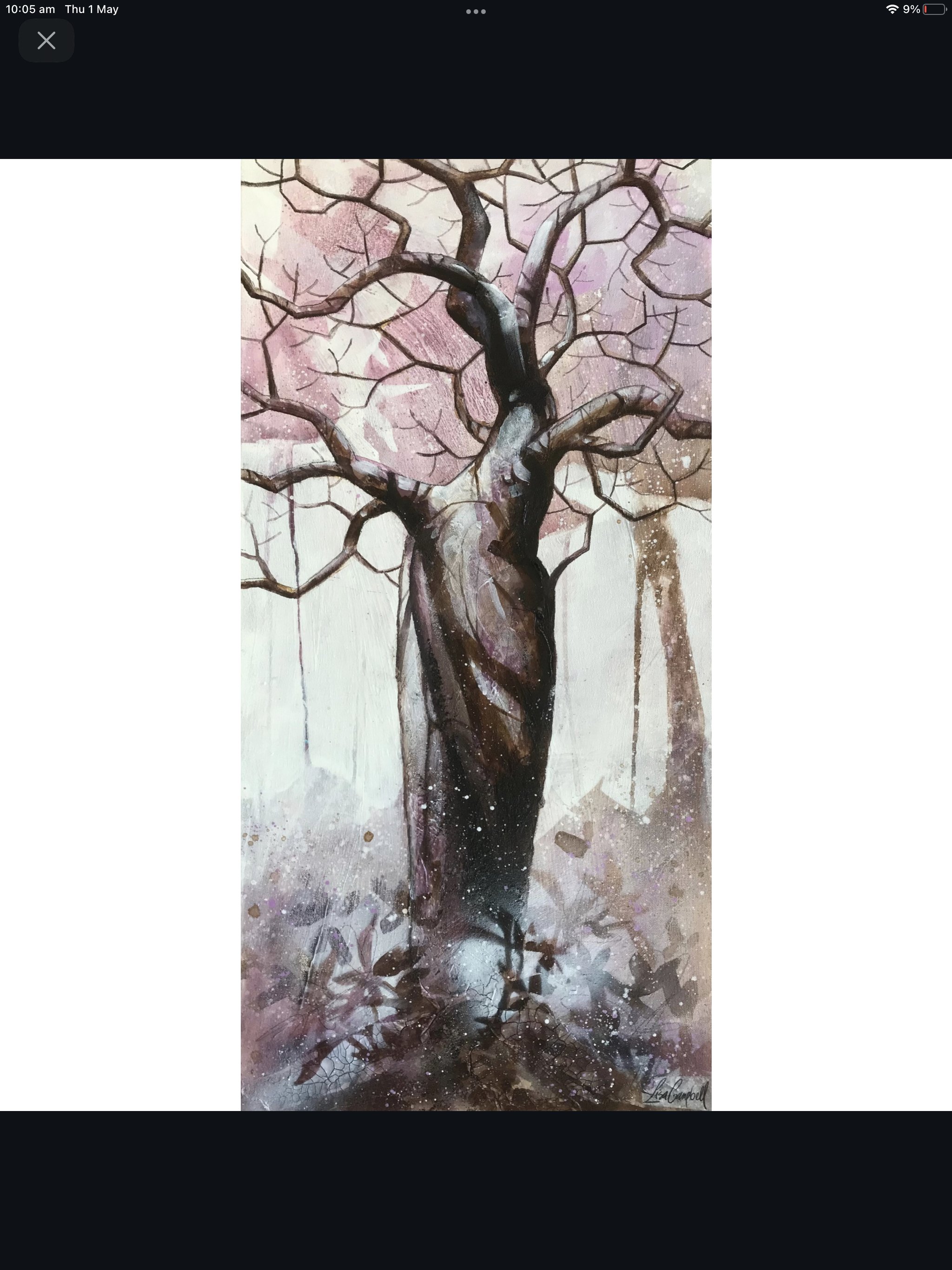 Original Boab Artwork