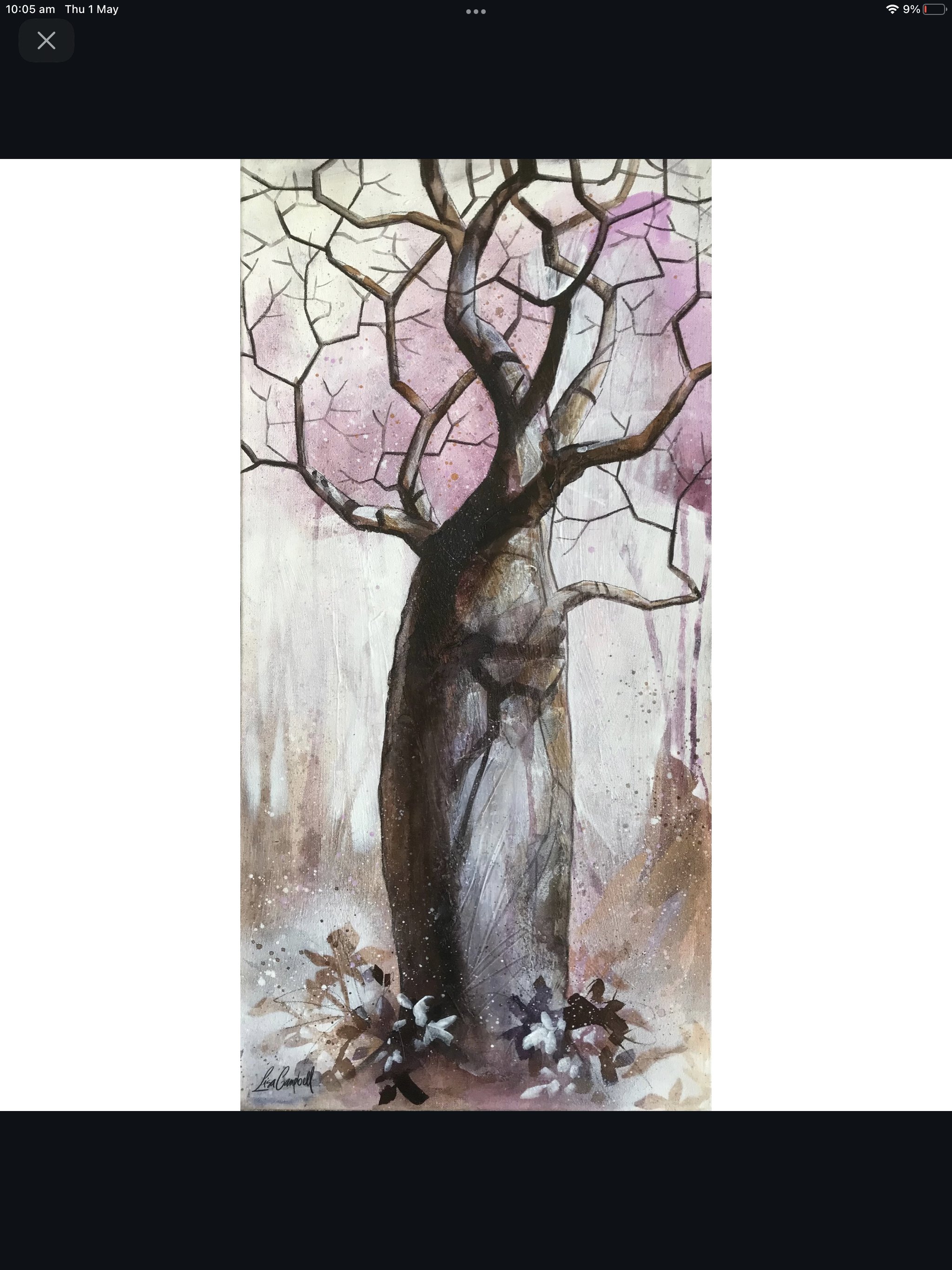 Original Boab Artwork
