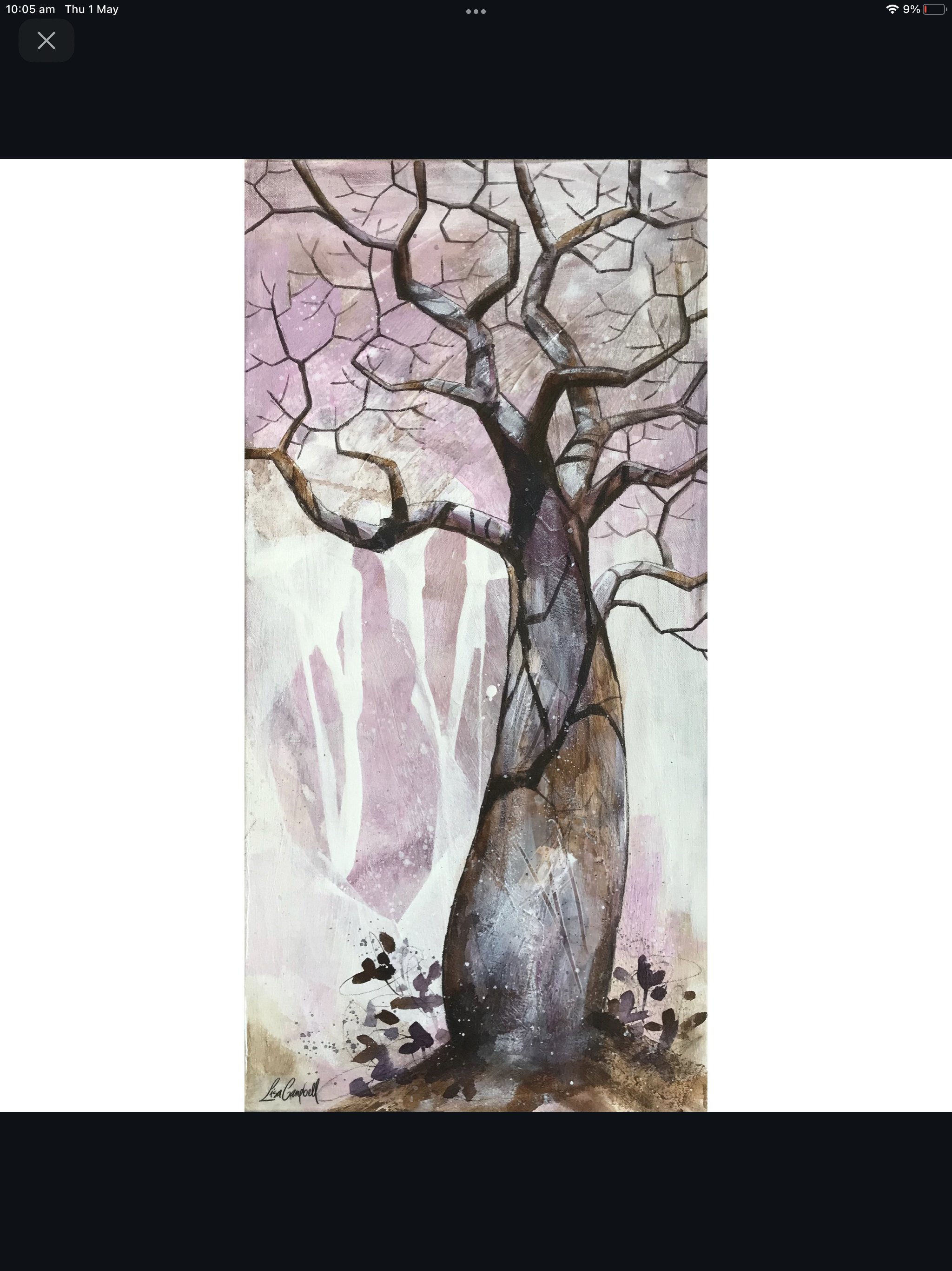 Original Boab Artwork