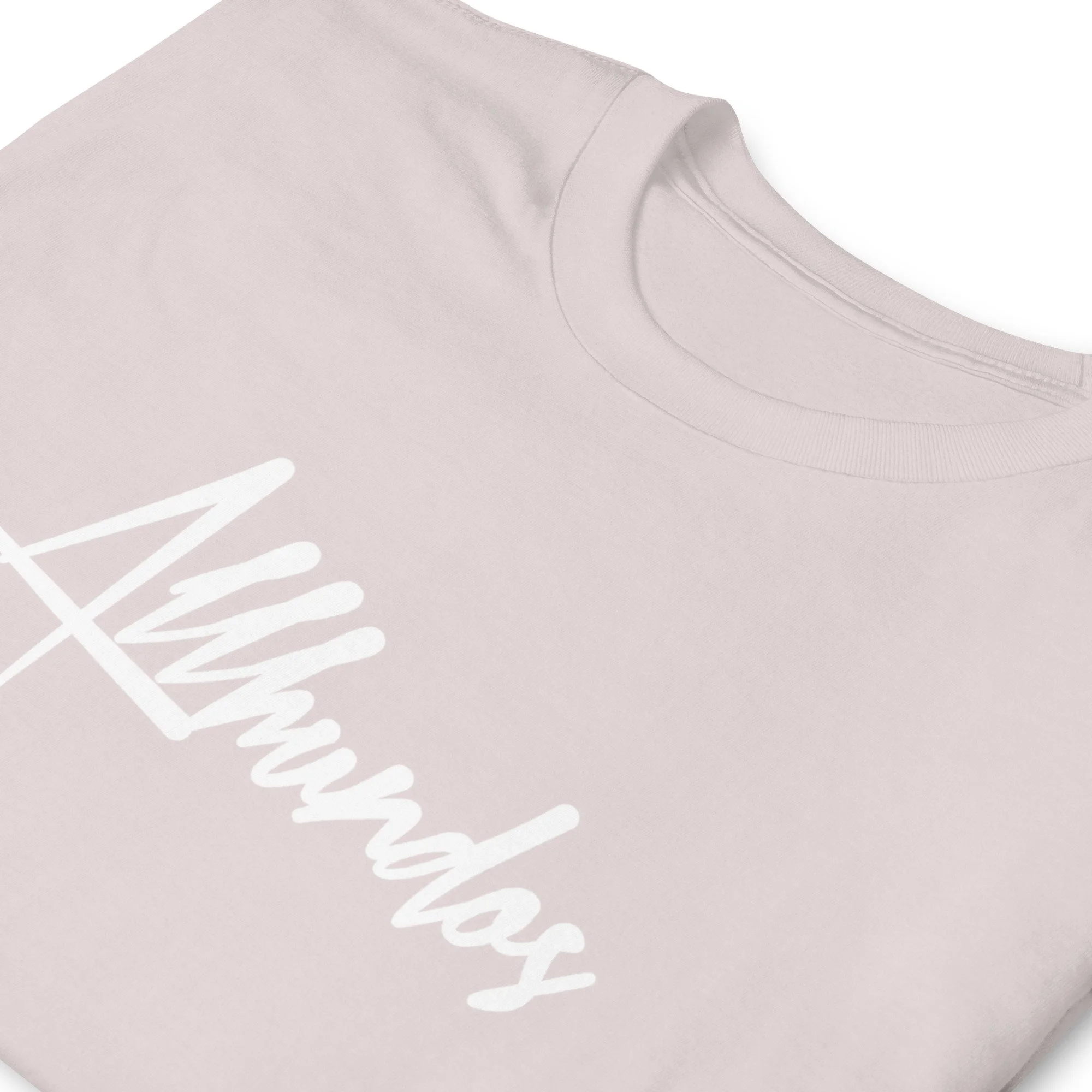 unisex-basic-softstyle-t-shirt-ice-grey-zoomed-in-68361094ee139.jpg