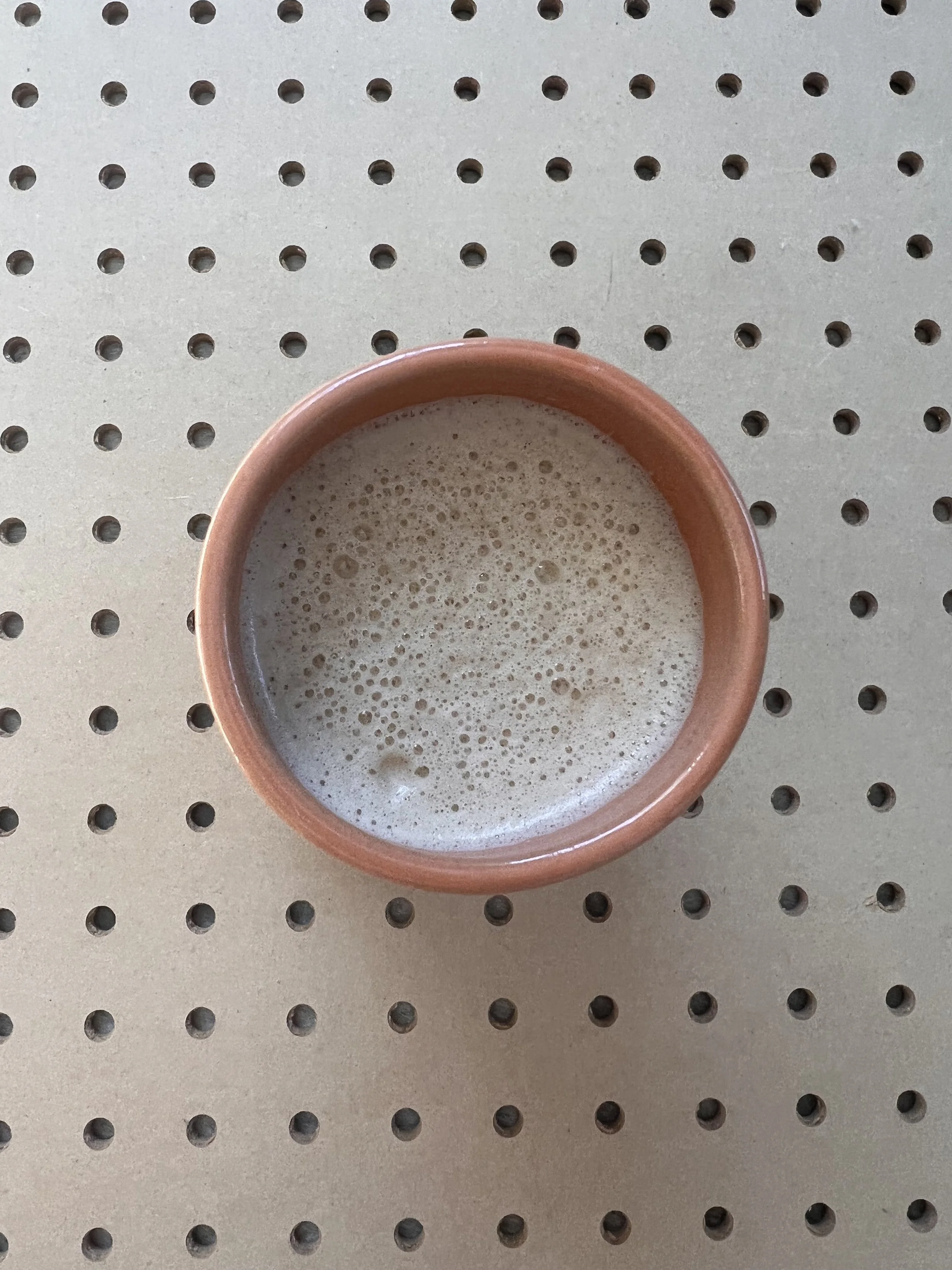 IMG_2756.jpeg