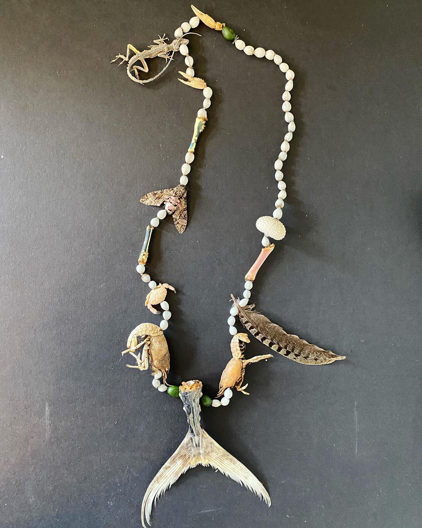 Whacky Wednesday Fauna Series, yes someone requested as weird of a lei as possible, the female recipient loves it, and yes if anyone has anything they would like to donate please keep us in mind! Gladly accepting small fish tails, fossil geckos, skel