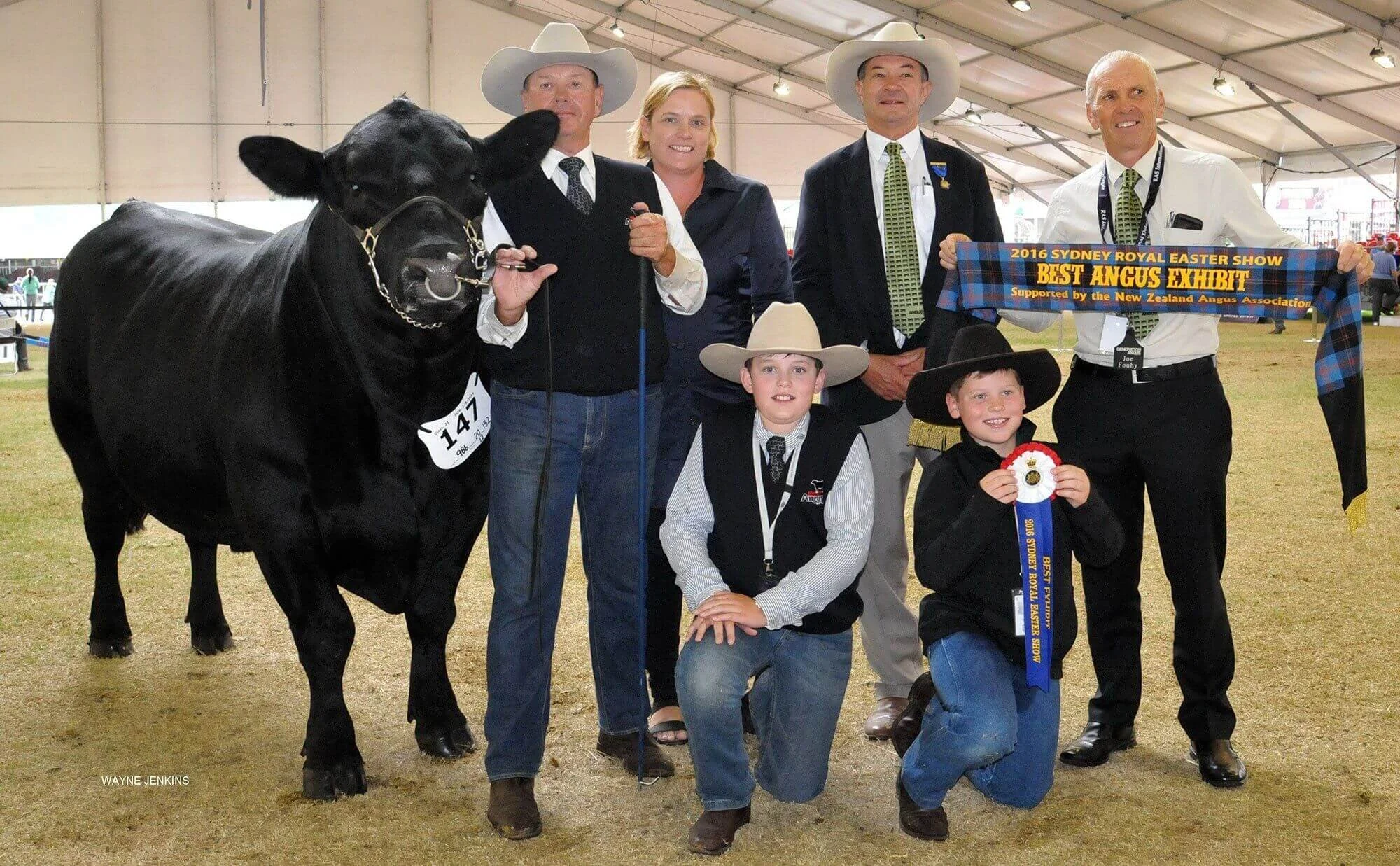 Killain Junior Bull takes Top Honours in Angus Ring