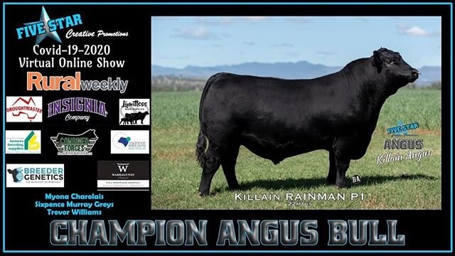 Killain Rainman P1 last night was announced as the winner of the Champion Angus Bull in the Covid-19 Virtual Online Show under astute judge Grame Hopf. Thank you to Five Star Creative Promotions for promoting and organising this platform. @agricultur
