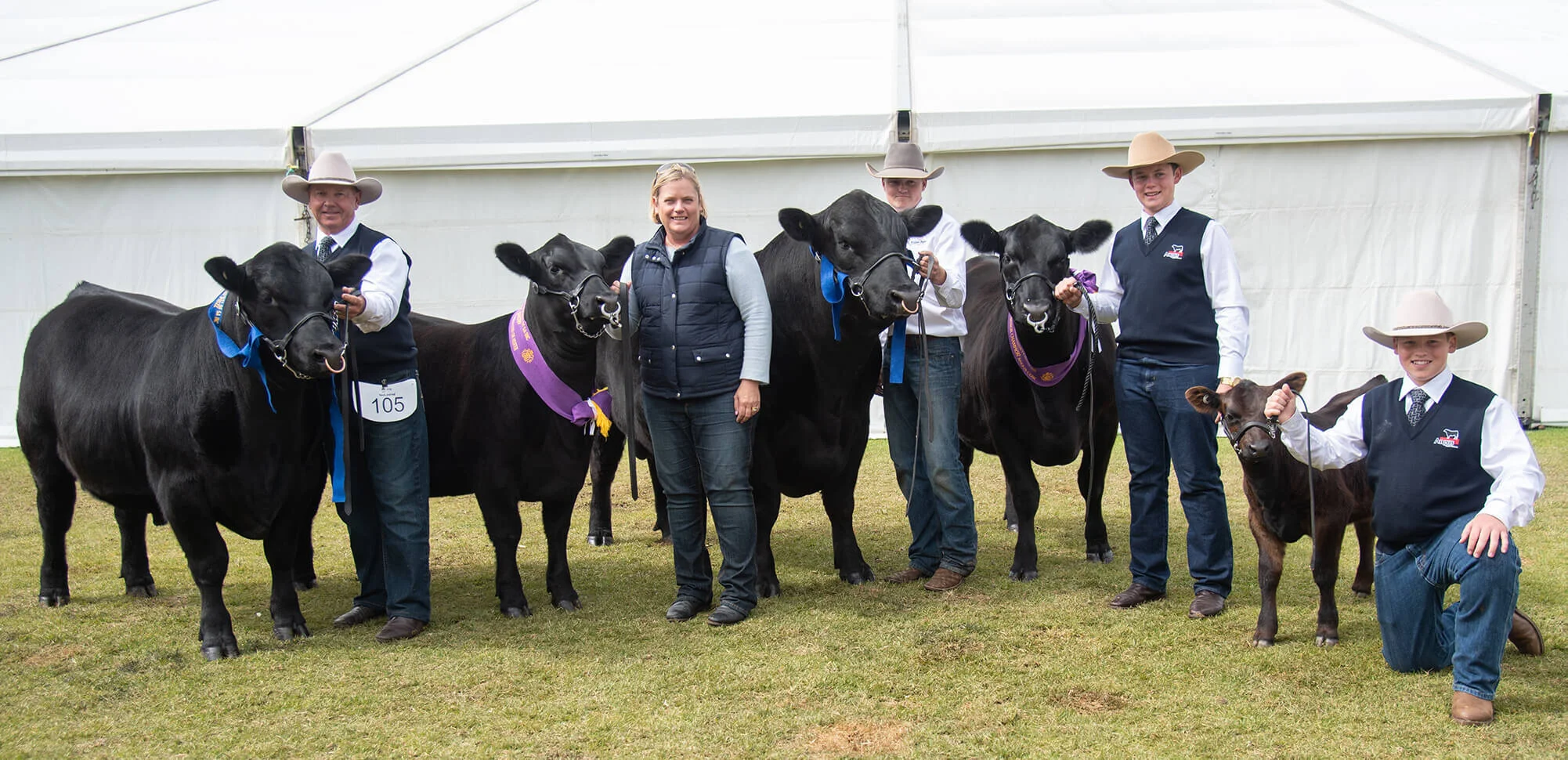 The 2019 Adelaide Royal Angus Feature Show