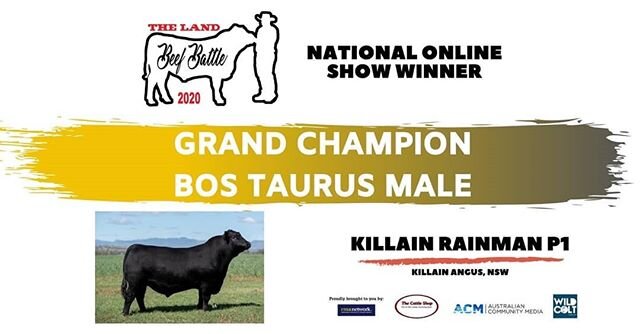 Wow! Thank you to The Land for running the 2020 Beef Battle in lieu of the cancelled Sydney Royal Easter Show. Another fantastic online platform for exhibitors who had cattle ready and prepared to show!

Tonight Killain Rainman P1 was named Senior an